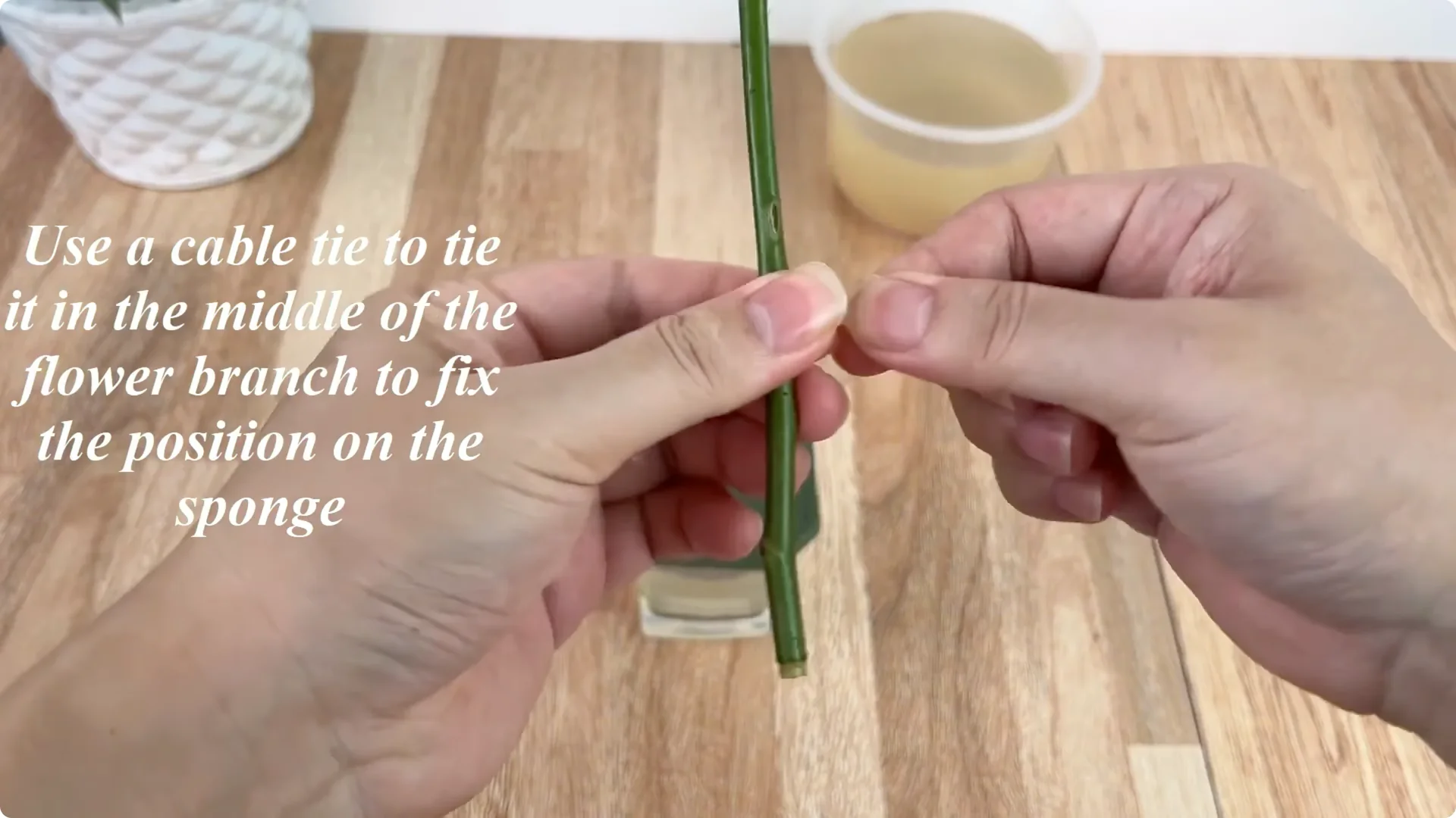How This Simple Trick Helps Roses Root and Bloom Forever screenshot 4