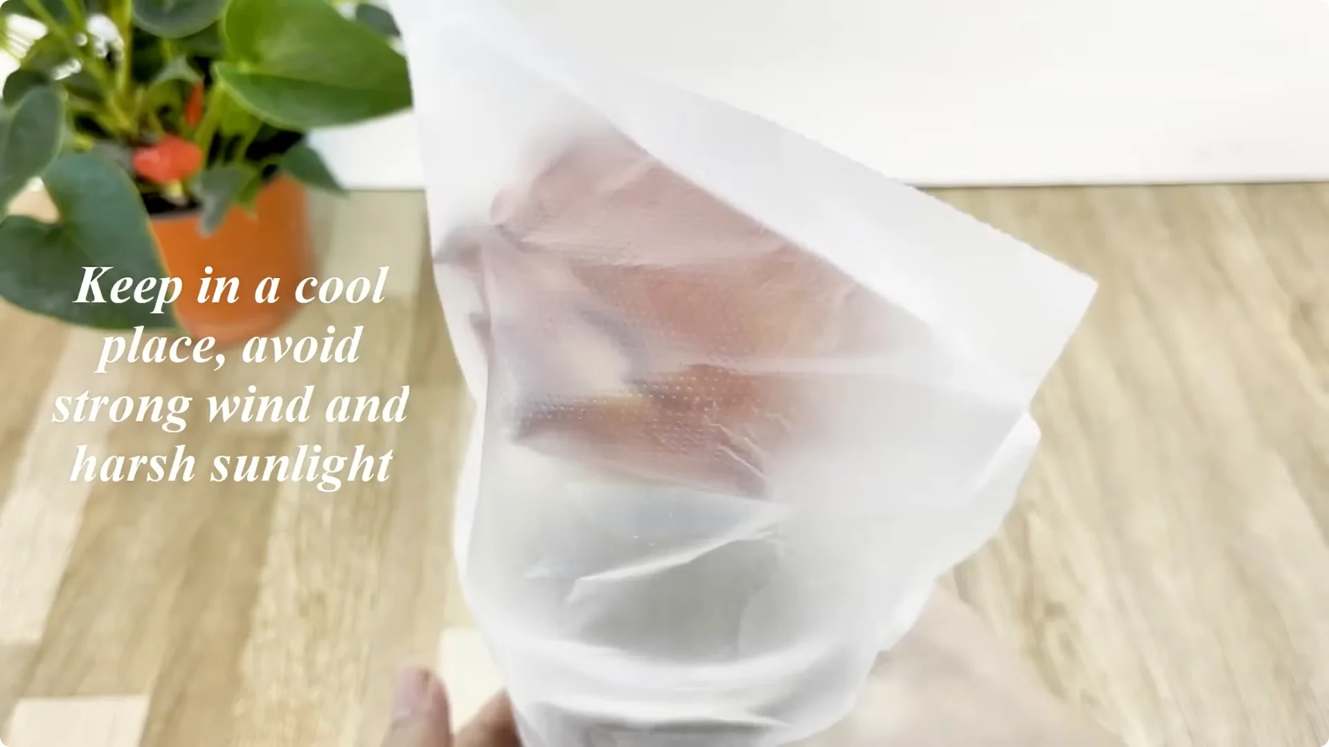 How This Simple Trick Helps Roses Root and Grow Fast screenshot 7