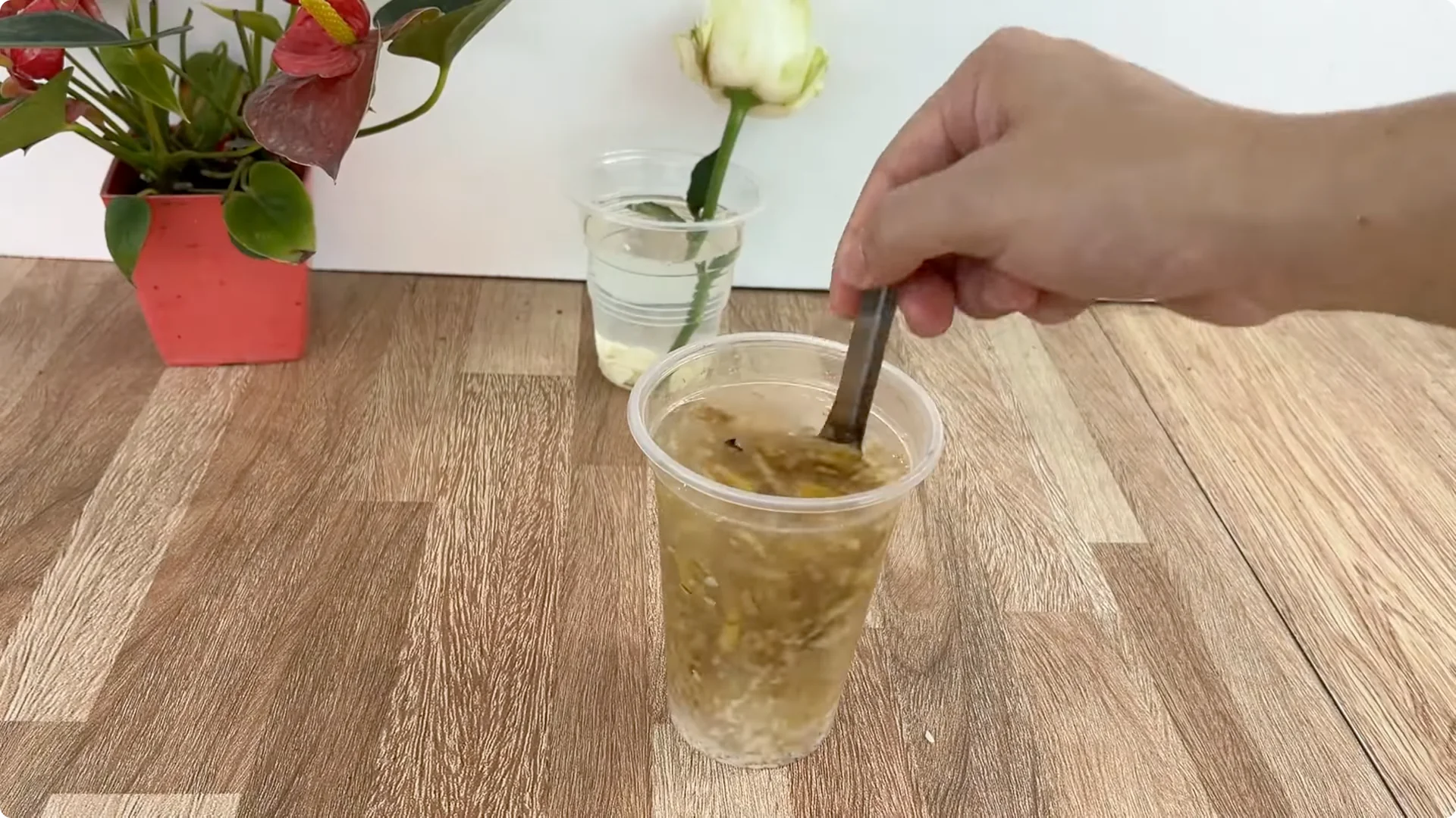 How This Simple Trick Makes Rose Stems Root and Bloom Easily screenshot 3