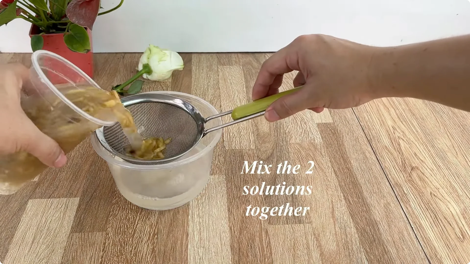 How This Simple Trick Makes Rose Stems Root and Bloom Easily screenshot 4