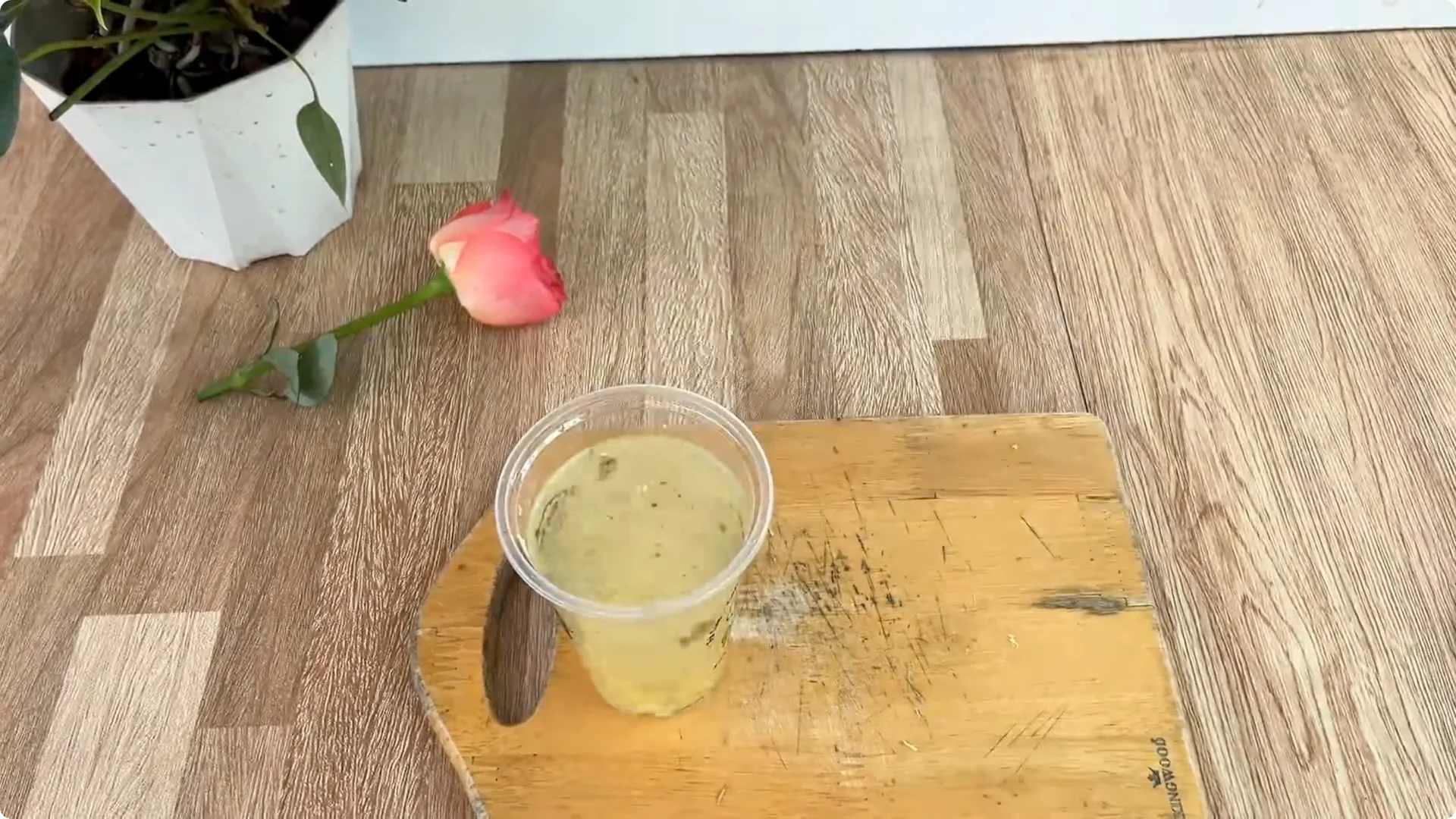 How to Easily Propagate Any Rose Species at Home screenshot 3