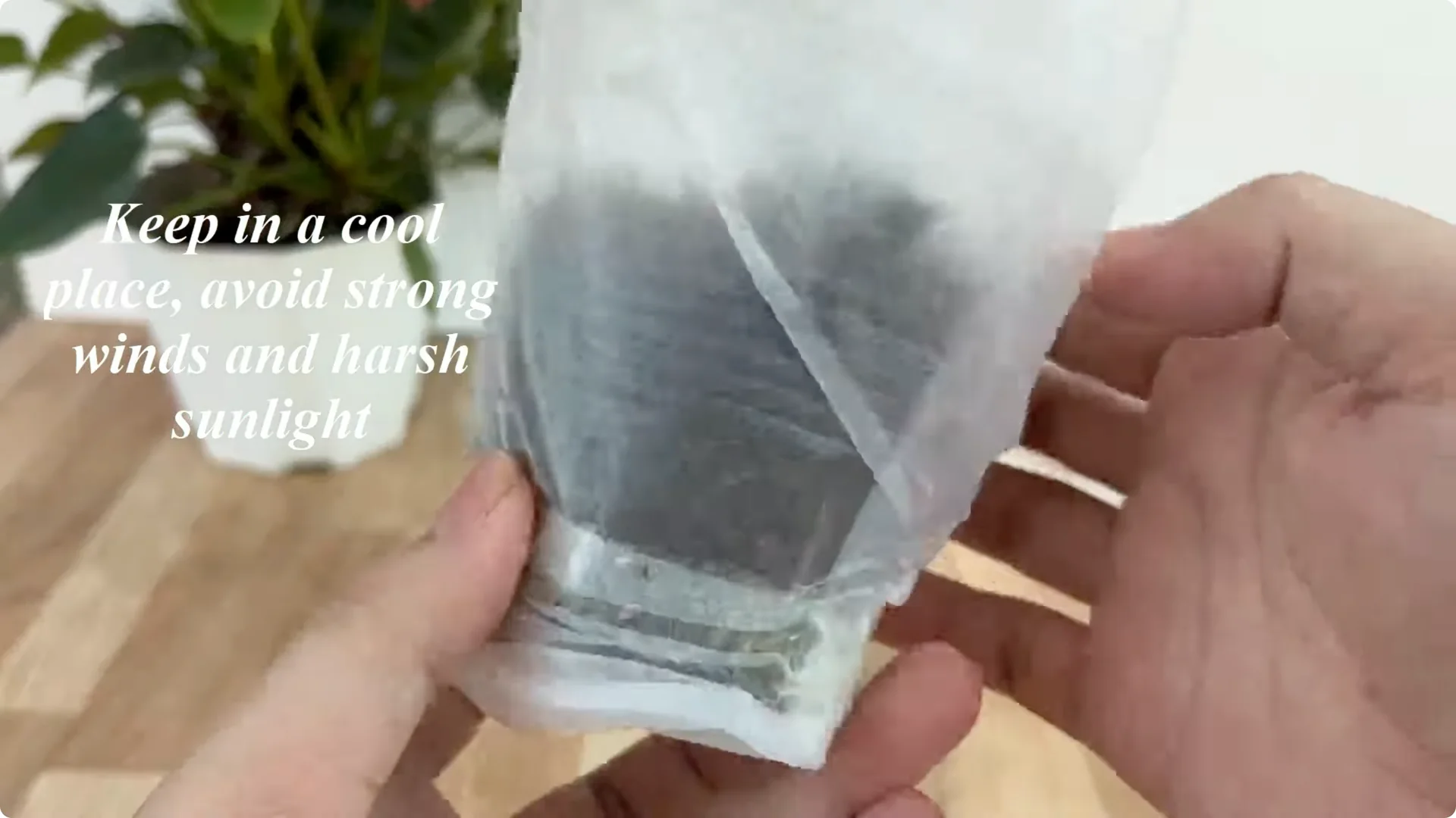 How to Easily Propagate Any Rose Species at Home screenshot 8