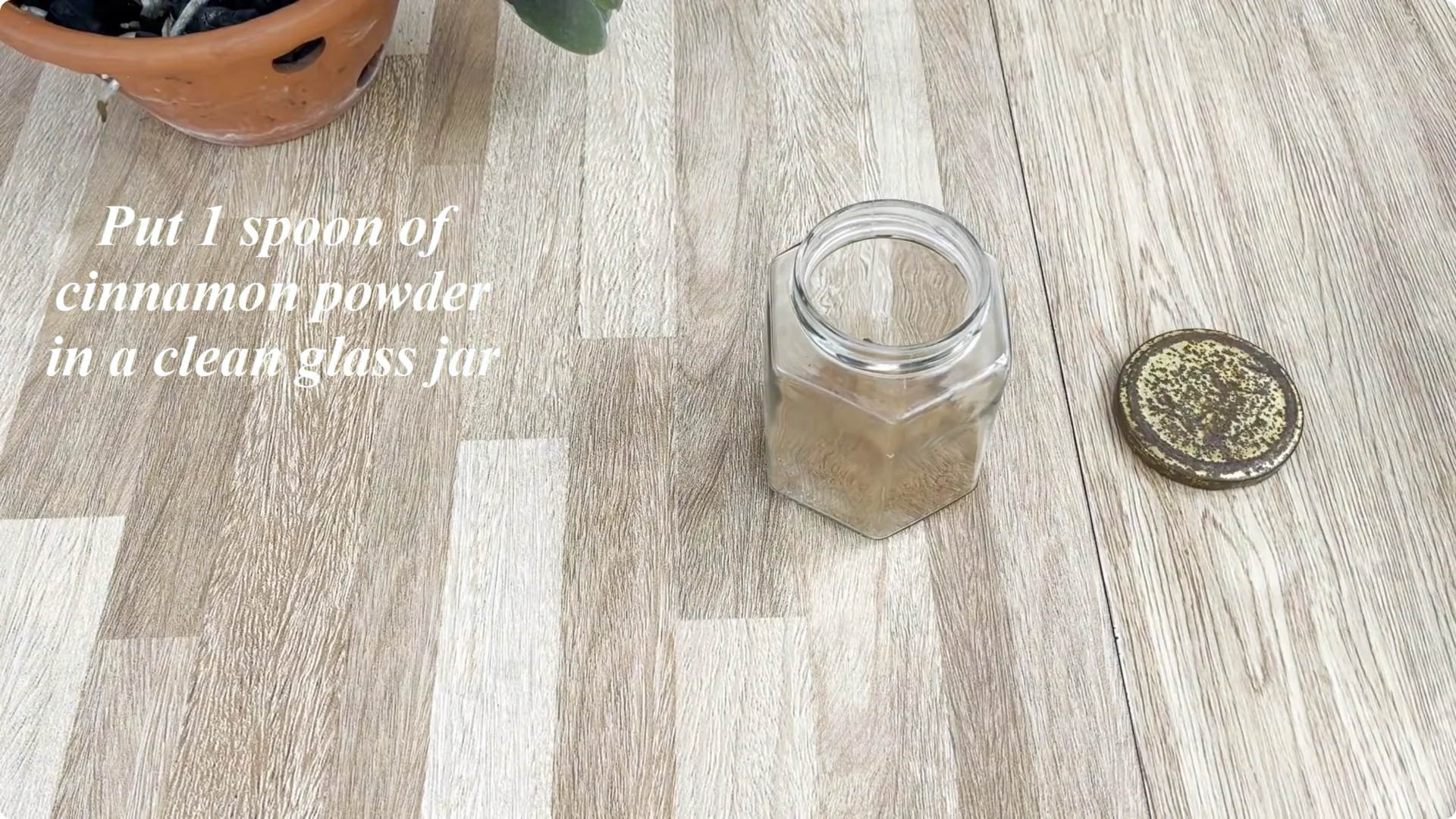 How to Make Rose Branches Root and Bloom Year-Round screenshot 1