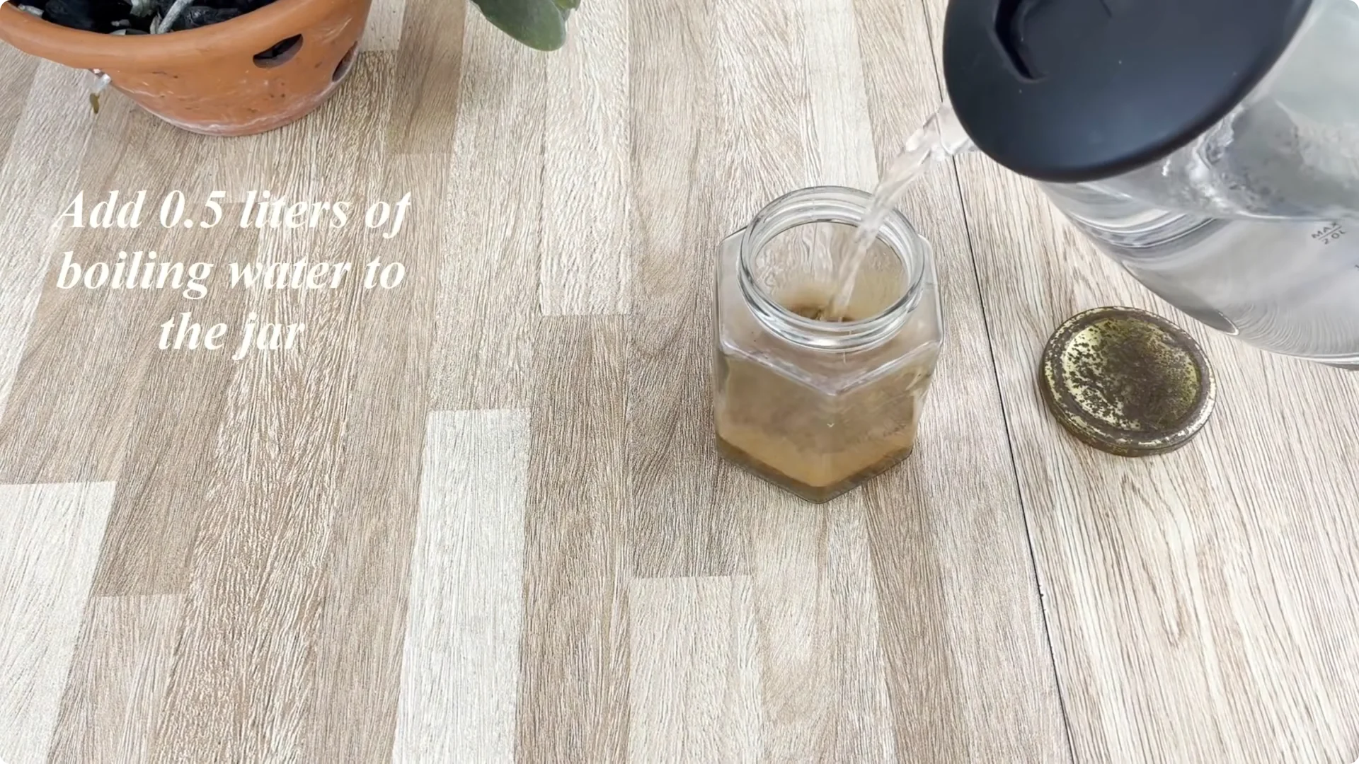 How to Make Rose Branches Root and Bloom Year-Round screenshot 2