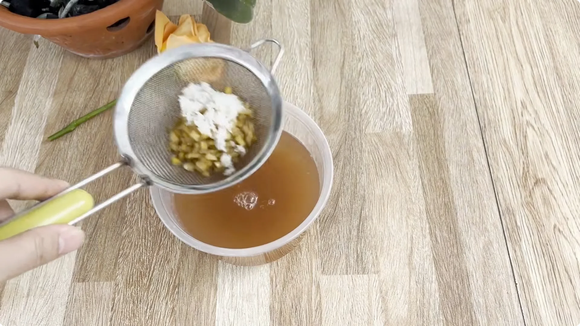 How to Make Rose Branches Root and Bloom Year-Round screenshot 6