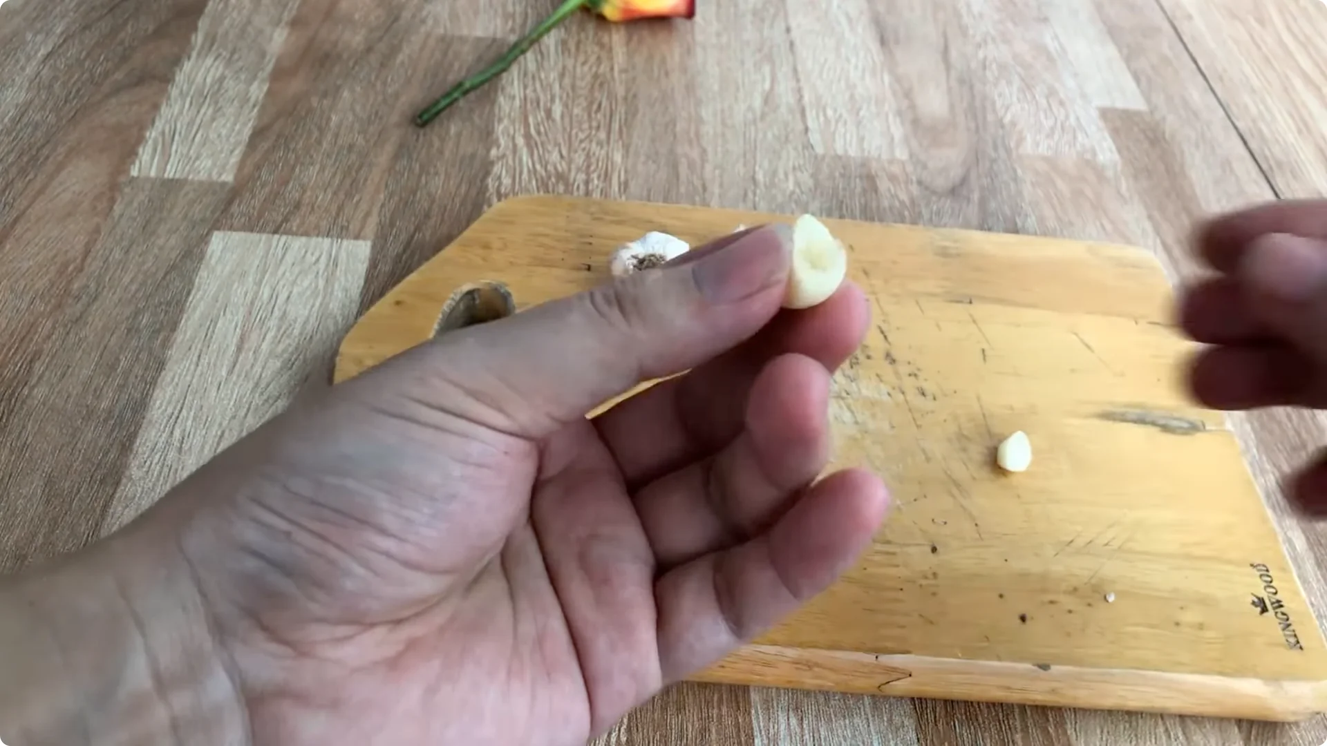 How to Propagate Roses Easily: A Simple Method Explained screenshot 2