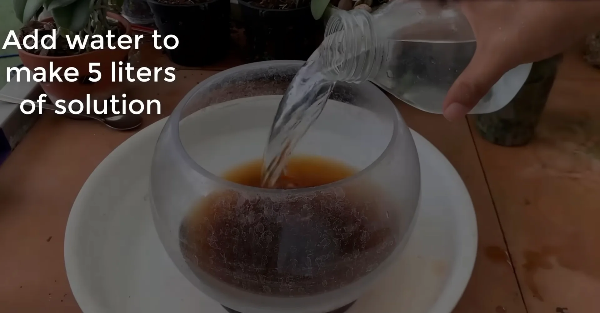How to Use Coffee for Orchids Without Harming Them? screenshot 3