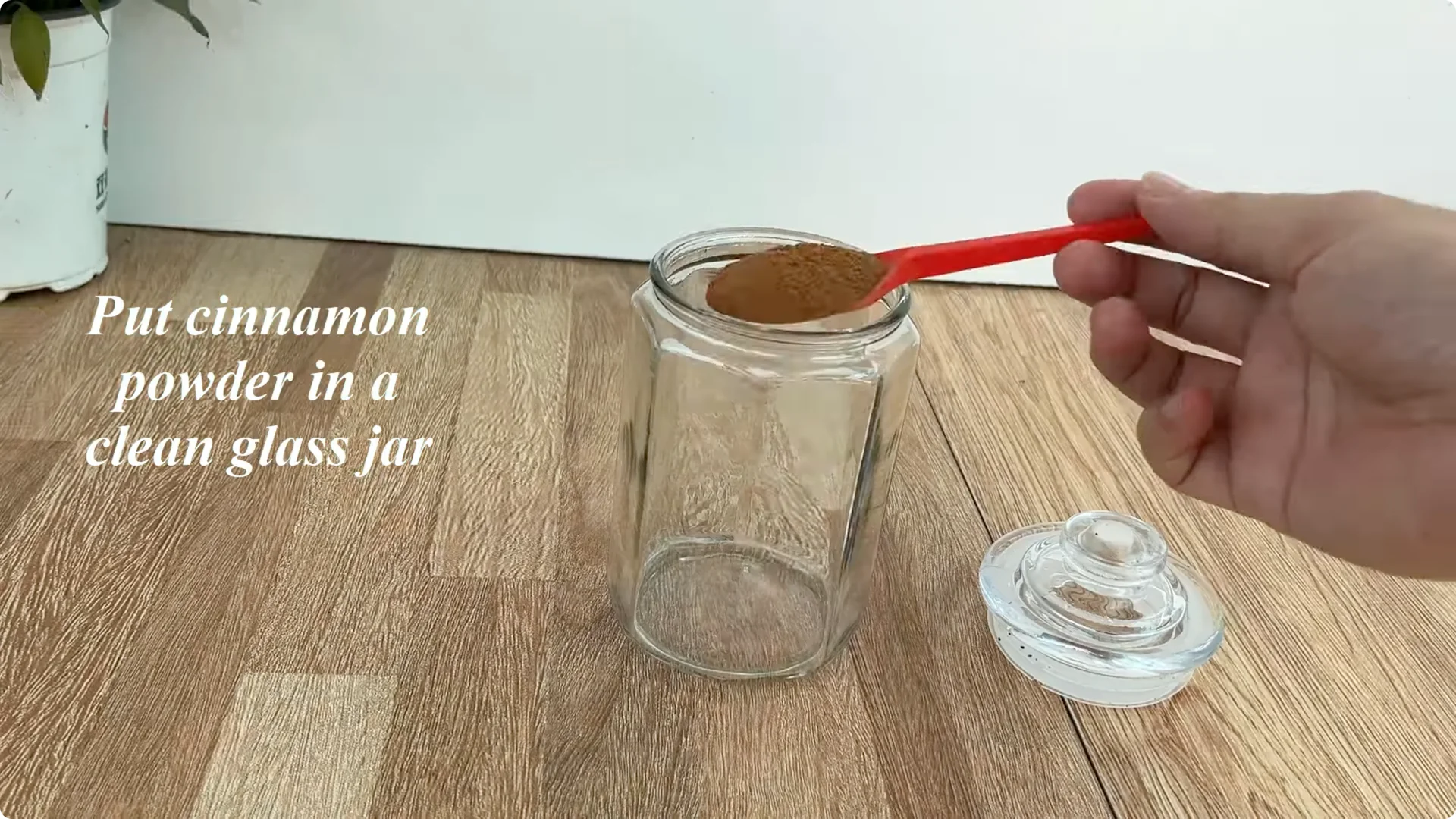 Little-Known Rose Propagation Tips for Stunning Results screenshot 1