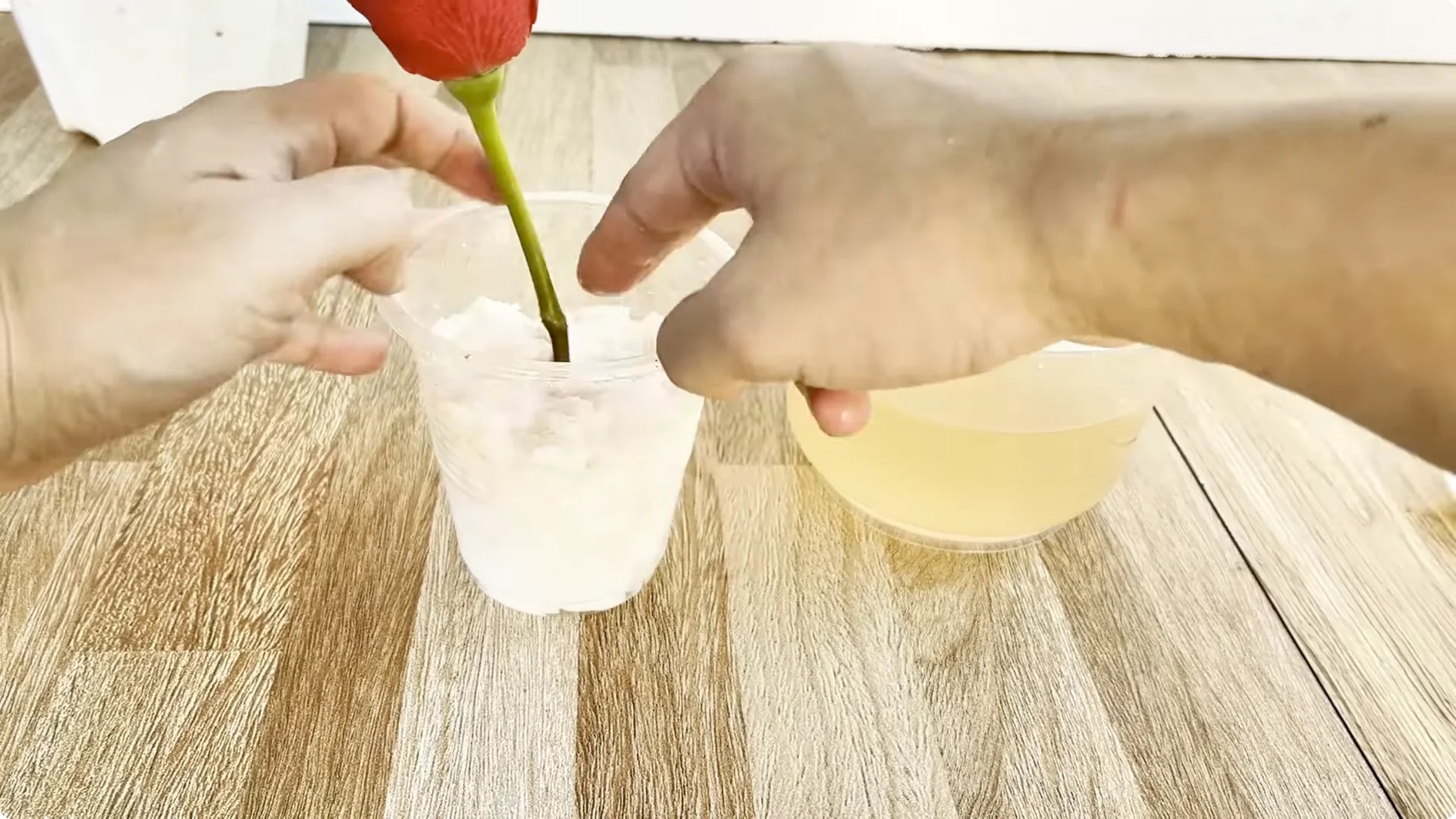 One Spoonful to Make Rose Branches Root and Bloom Fast screenshot 1