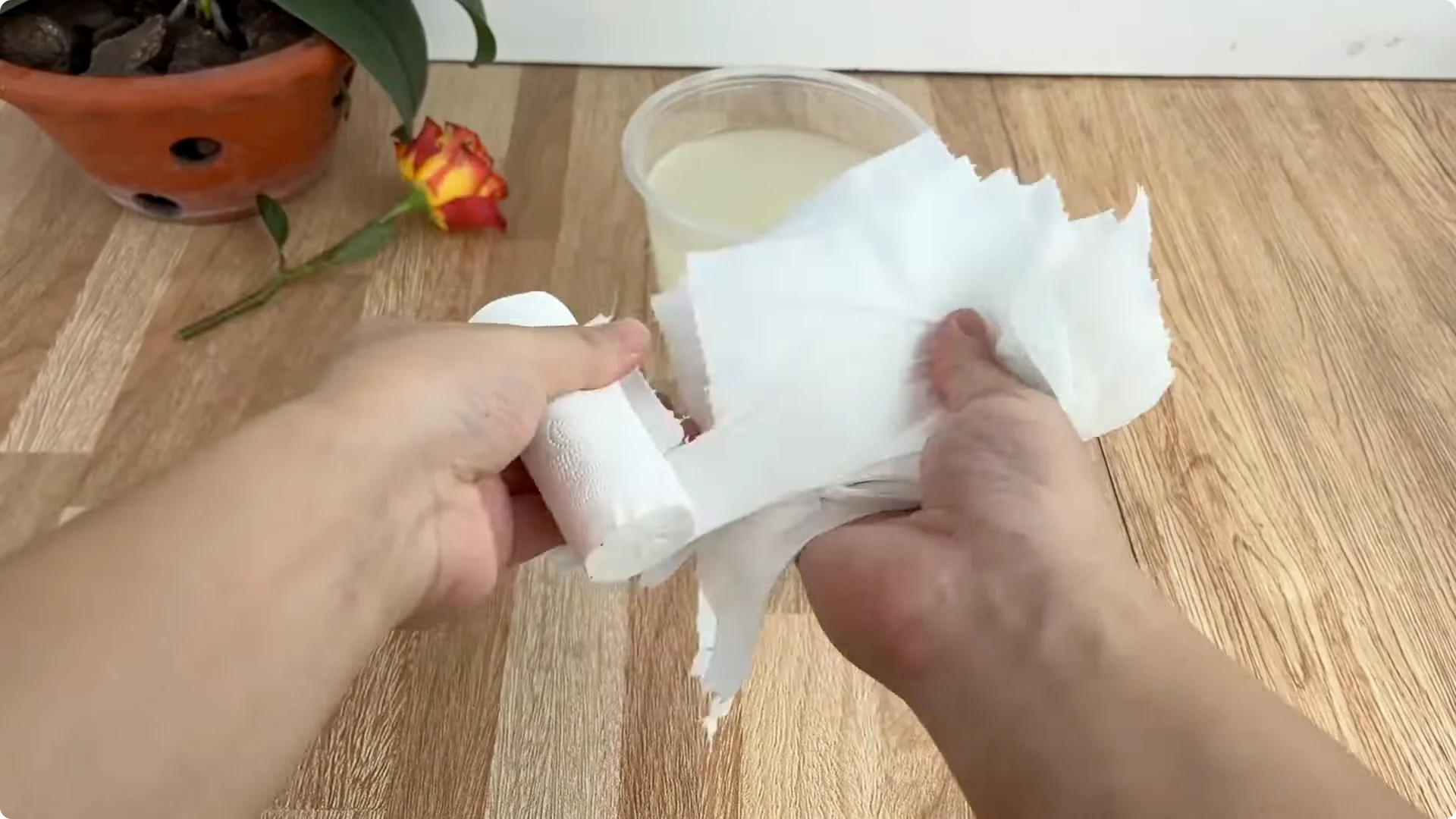 The Secret Spoonful That Makes Roses Grow Overnight screenshot 10