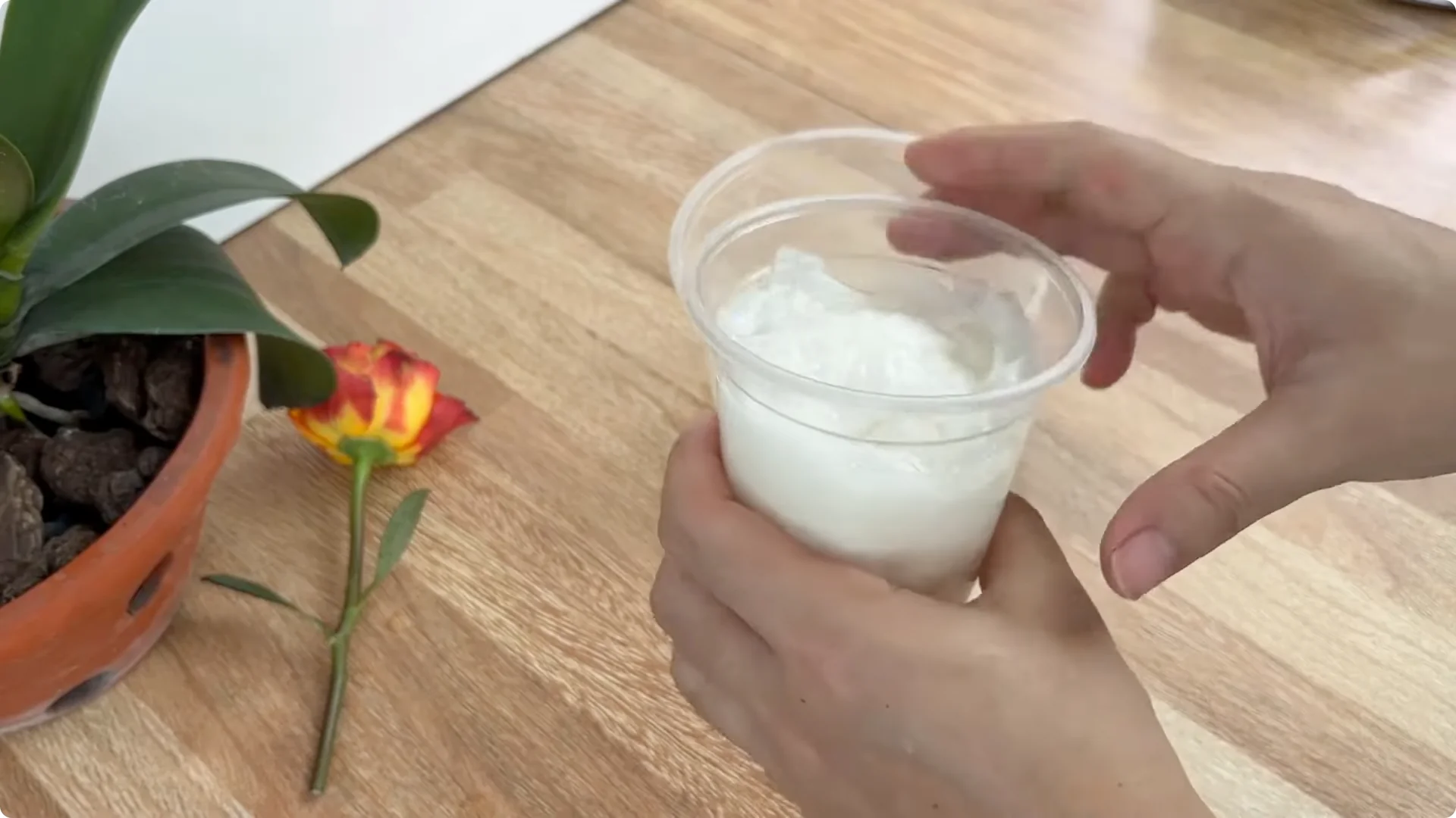 The Secret Spoonful That Makes Roses Grow Overnight screenshot 12
