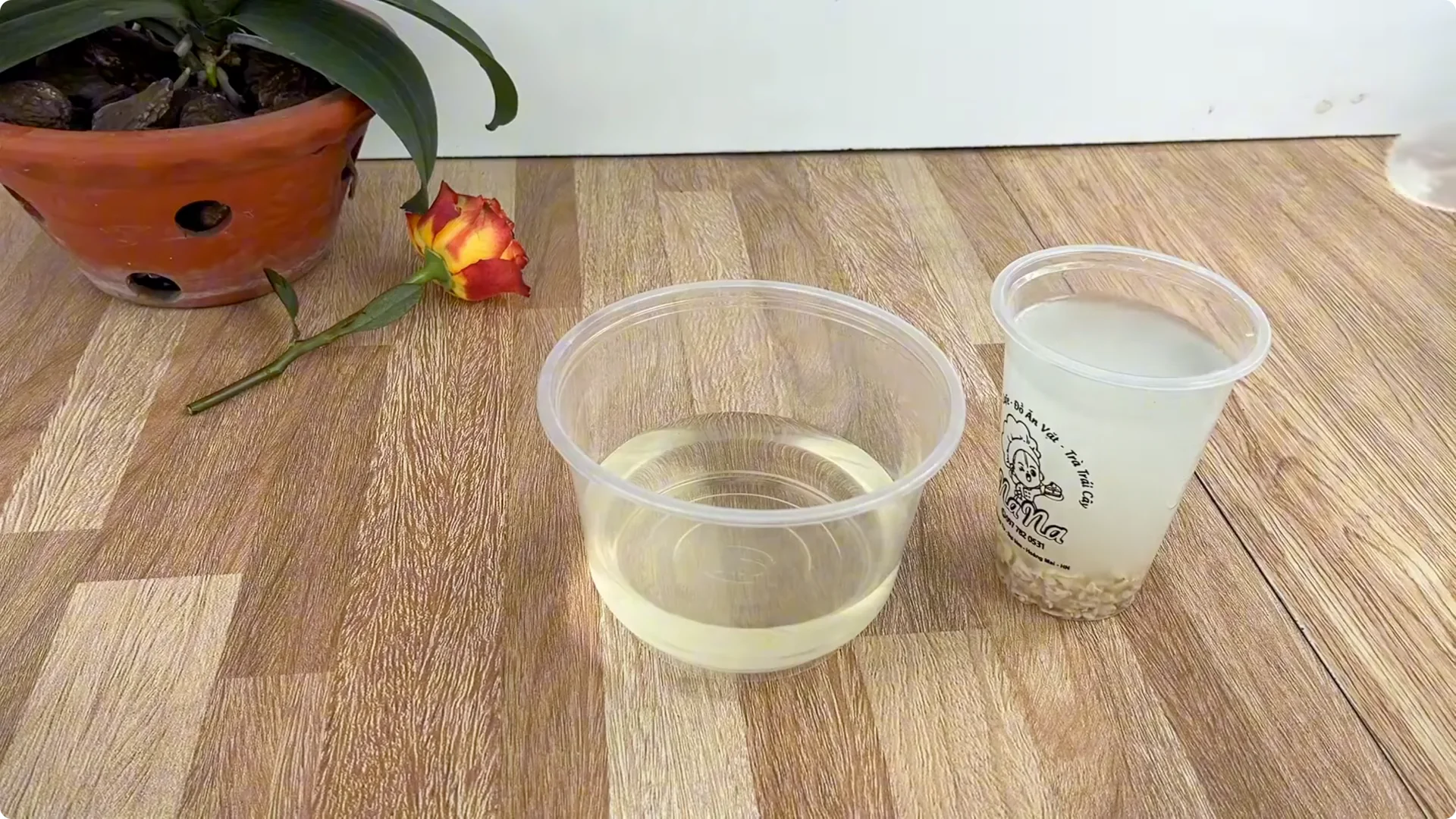 The Secret Spoonful That Makes Roses Grow Overnight screenshot 8