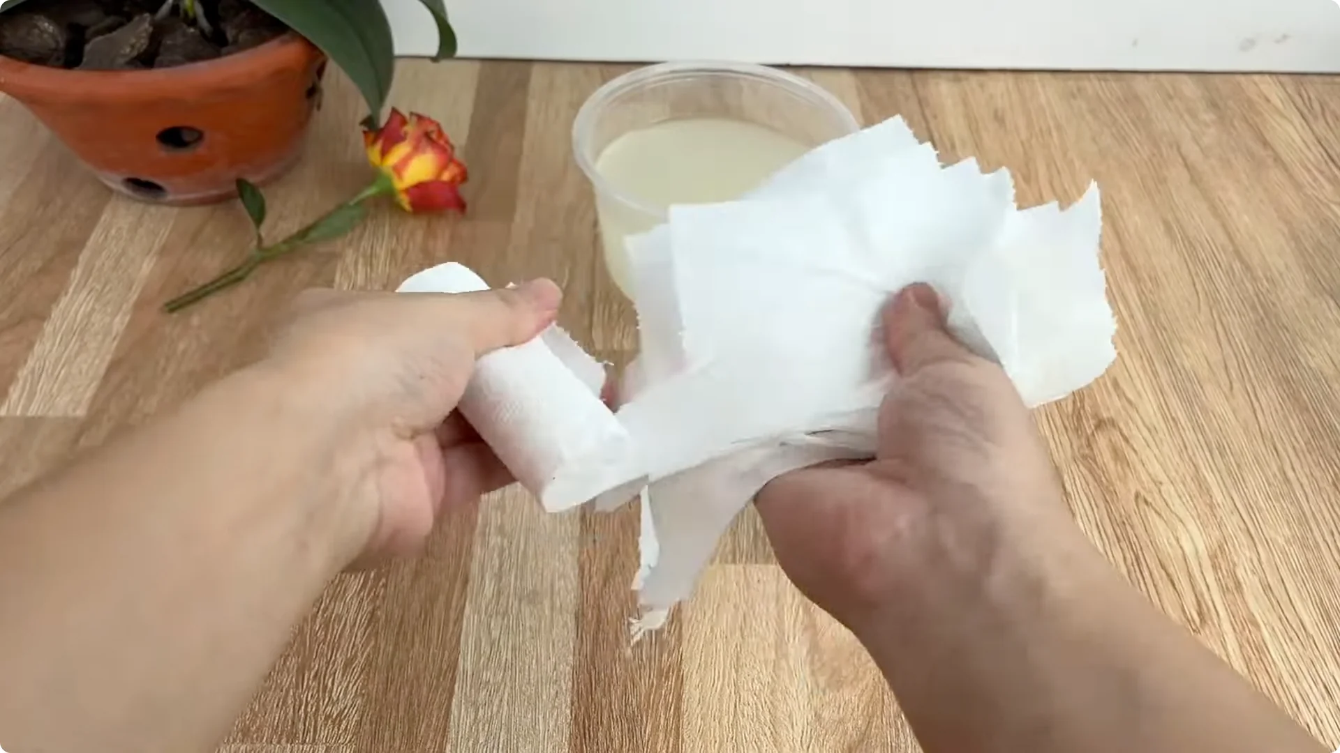 The Secret Spoonful That Makes Roses Grow Overnight screenshot 9