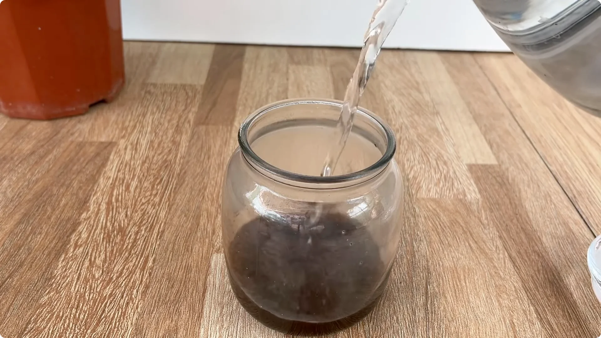 The Secret to Growing Healthy Rose Plants with One Simple Step screenshot 1