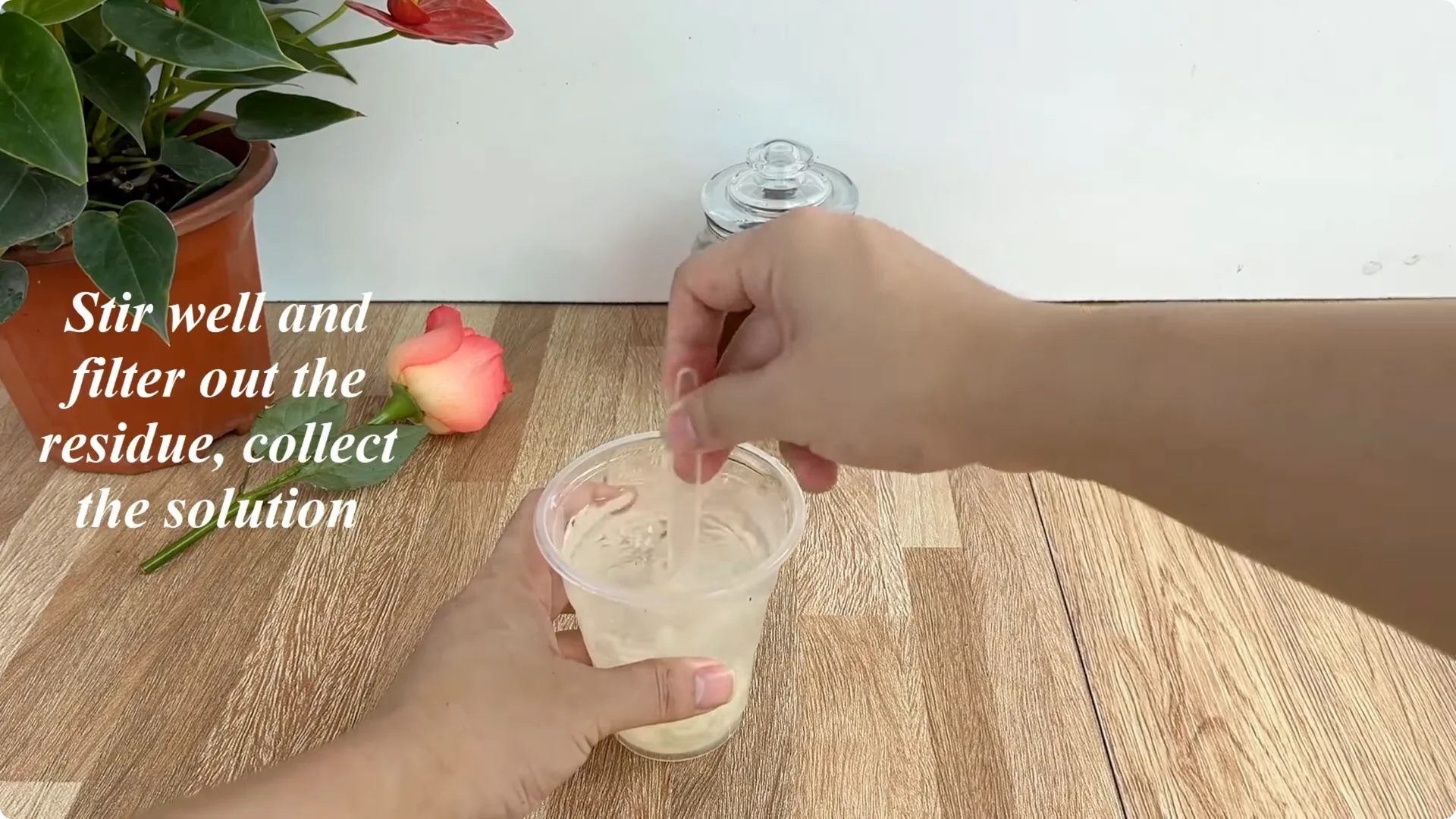 The Secret to Growing Healthy Rose Plants with One Simple Step screenshot 4