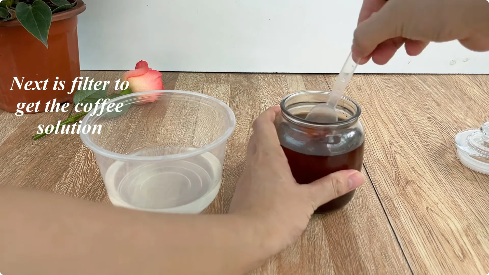The Secret to Growing Healthy Rose Plants with One Simple Step screenshot 5
