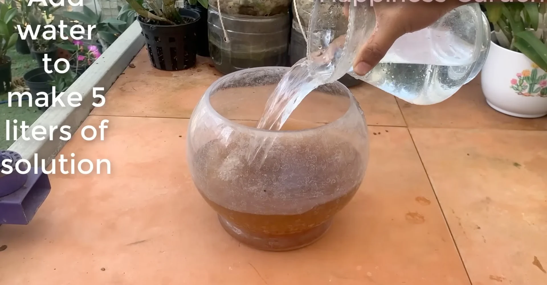 The Secret to Making Orchids Bloom Faster with 1 Simple Cup? screenshot 1
