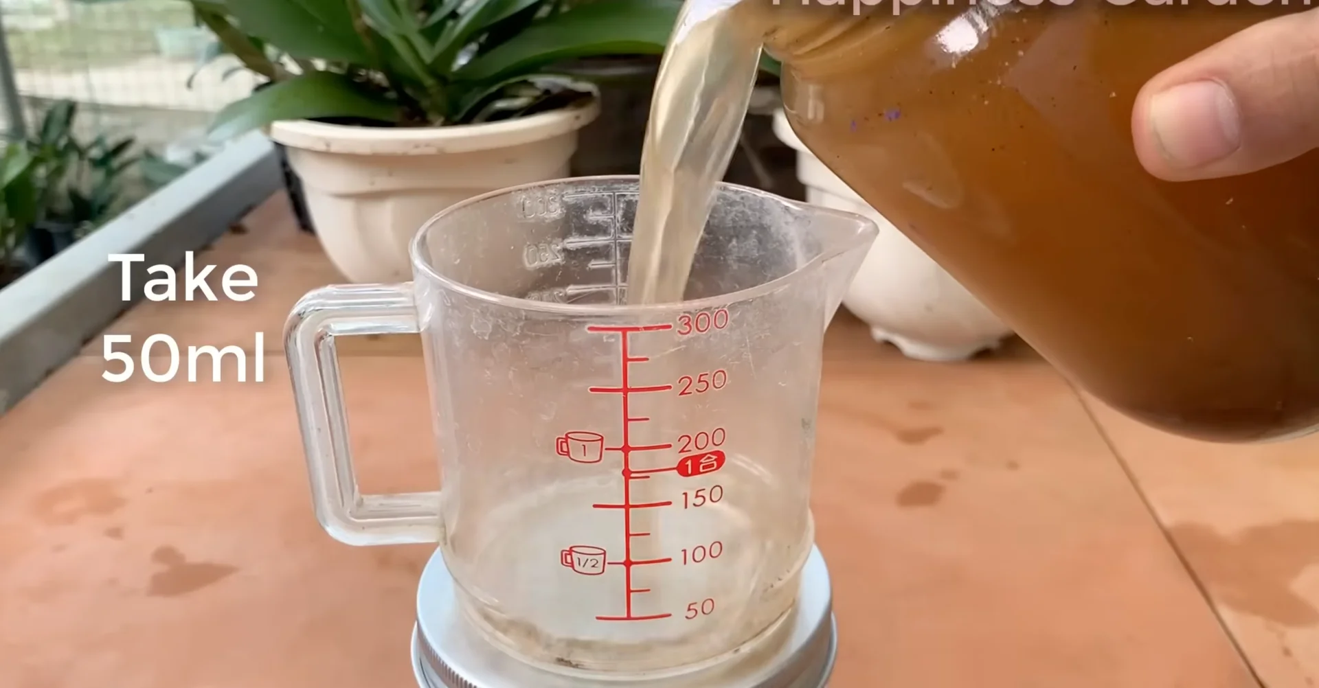 The Secret to Making Orchids Bloom Faster with 1 Simple Cup? screenshot 2