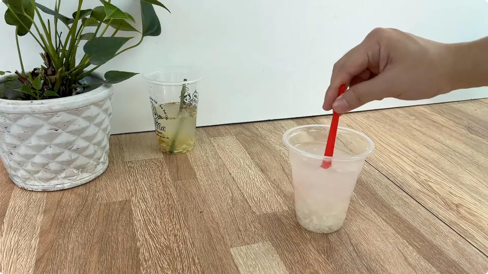 The Secret to Successfully Propagating Any Rose Revealed screenshot 3