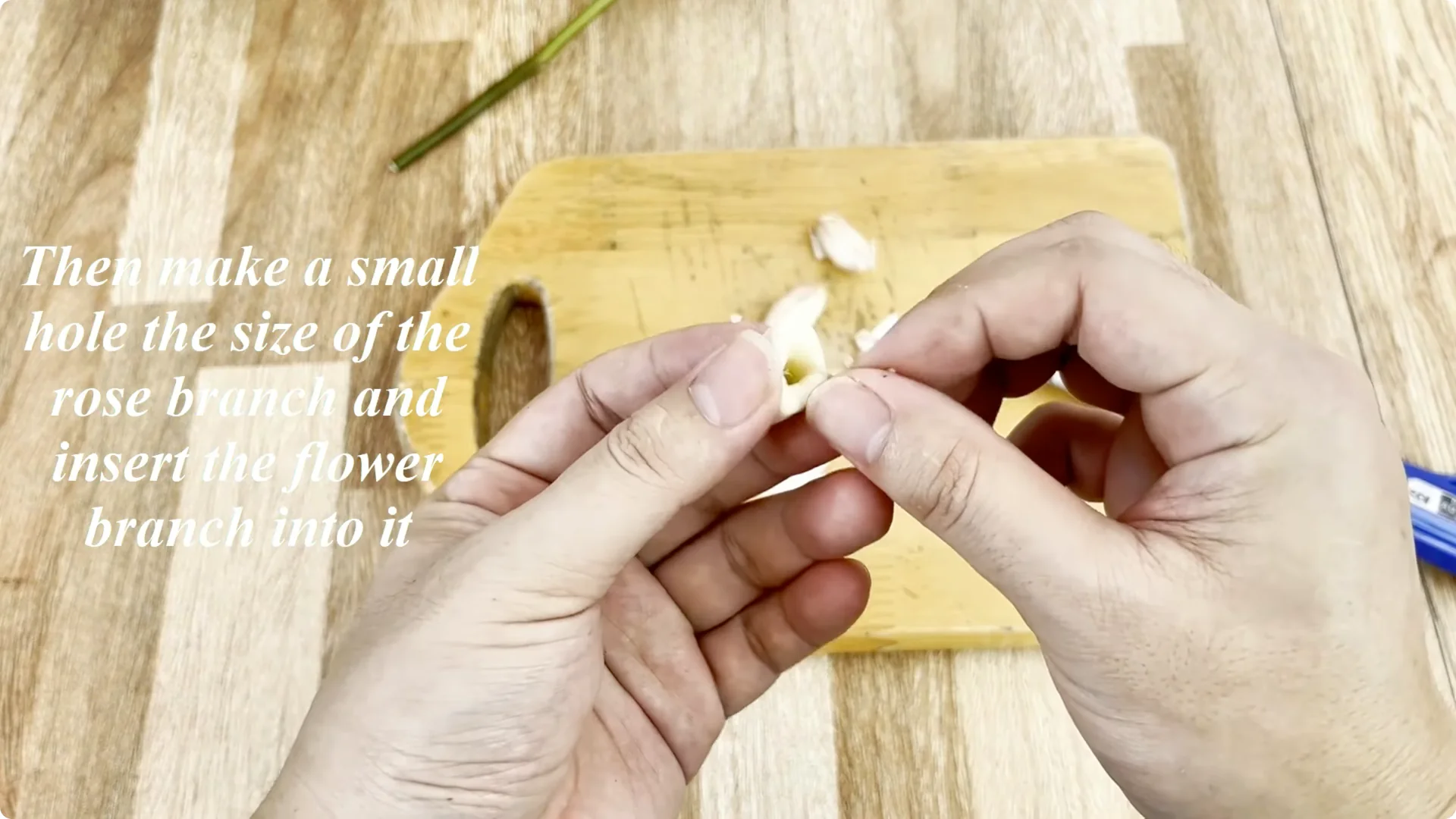 The Simple Rose Propagation Method Most Gardeners Miss screenshot 3