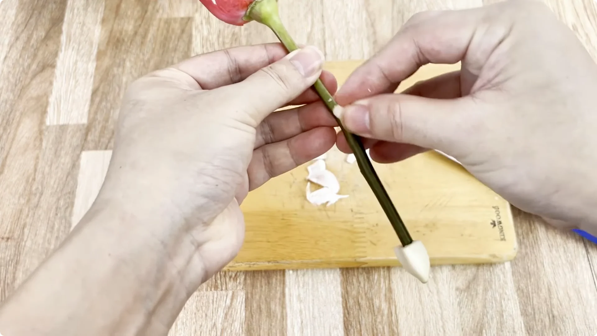 The Simple Rose Propagation Method Most Gardeners Miss screenshot 4