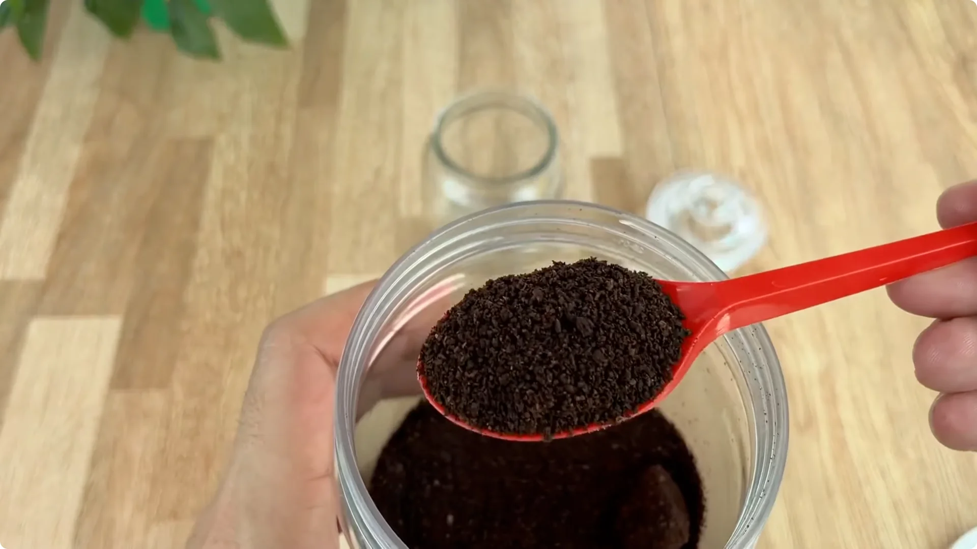 The Simple Secret to Propagating Roses Few Know About screenshot 1