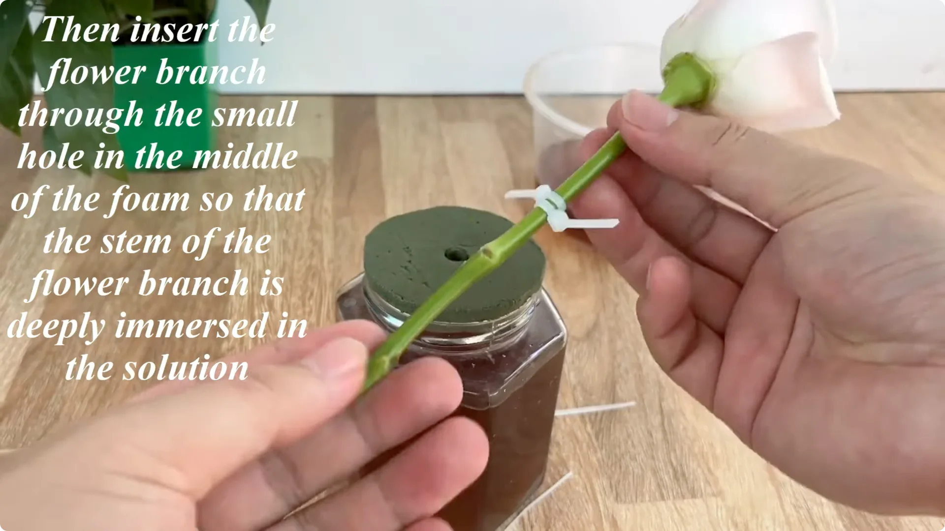 The Simple Secret to Propagating Roses Few Know About screenshot 14