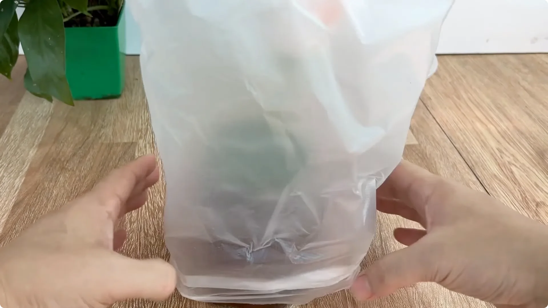 The Simple Secret to Propagating Roses Few Know About screenshot 15