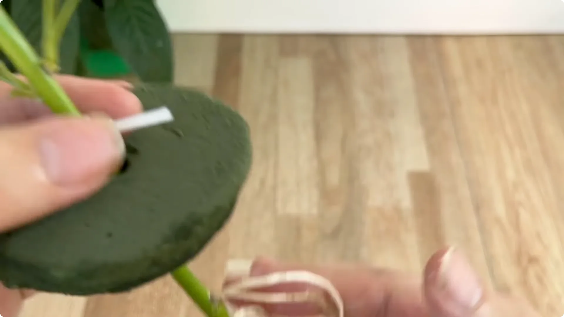 The Simple Secret to Propagating Roses Few Know About screenshot 19