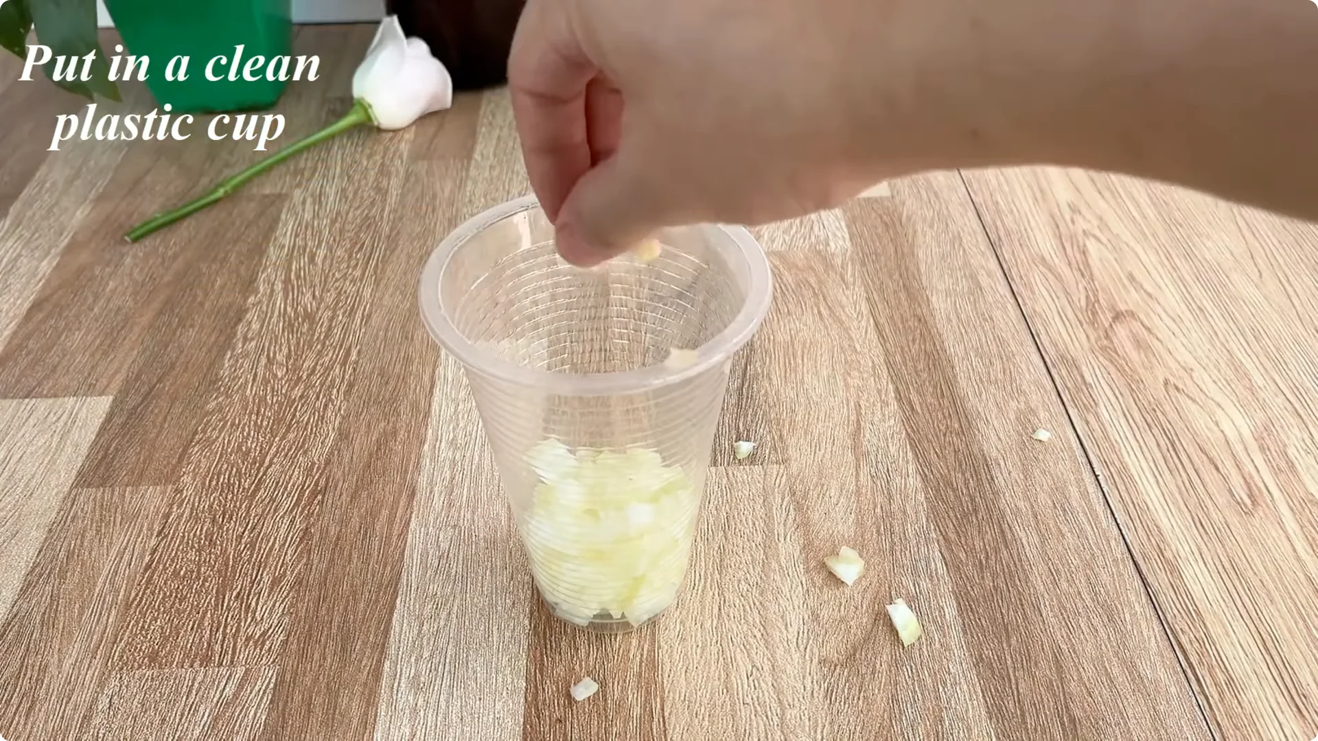 The Simple Secret to Propagating Roses Few Know About screenshot 4