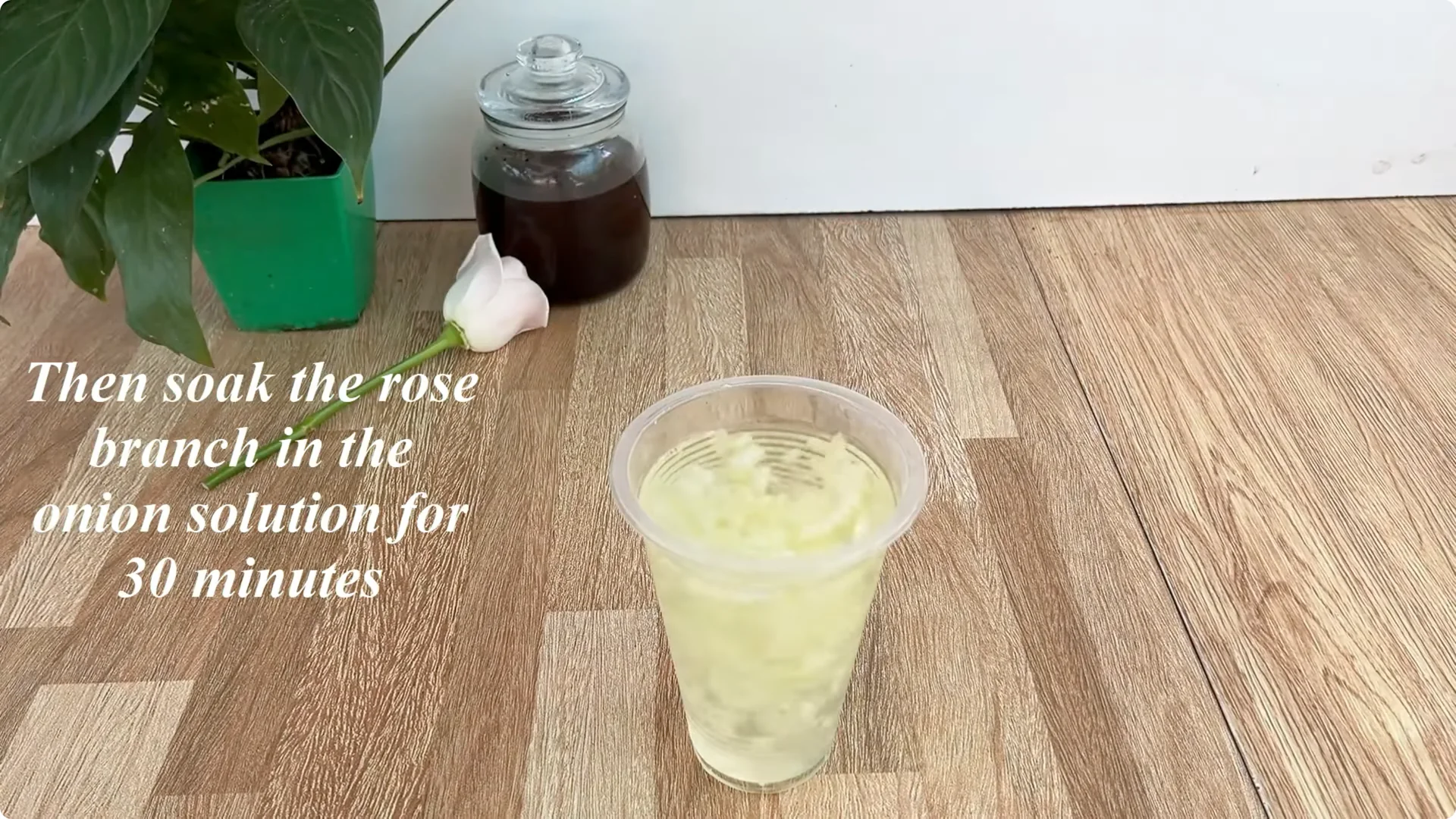 The Simple Secret to Propagating Roses Few Know About screenshot 5