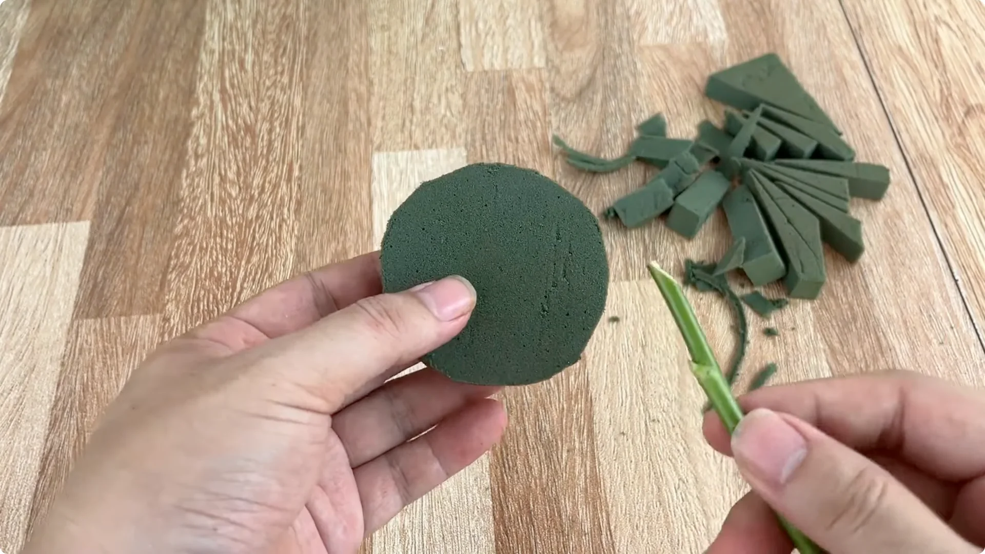 The Simple Secret to Propagating Roses Few Know About screenshot 8