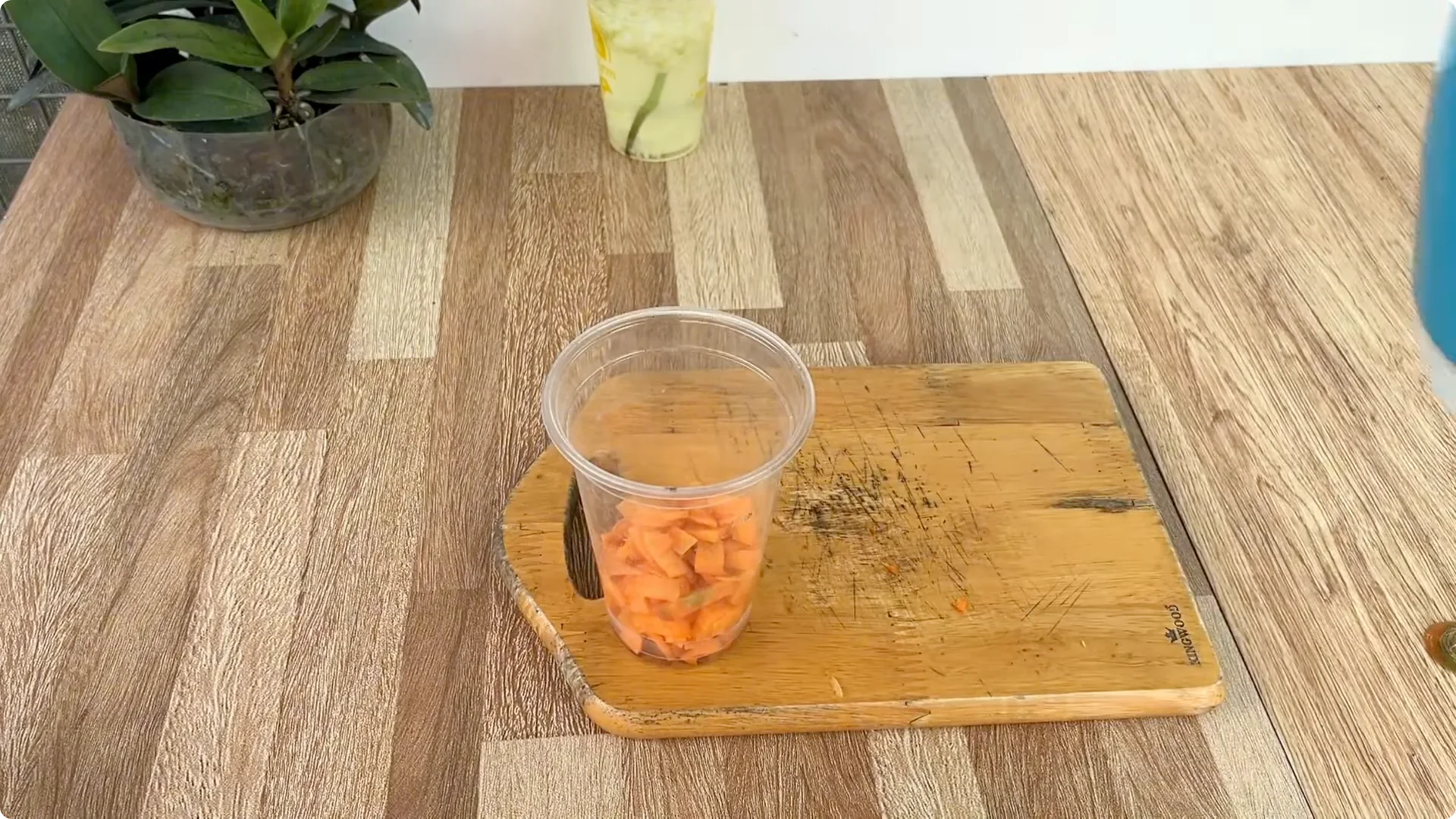 The Simple Spoonful Trick to Easily Propagate Roses screenshot 3