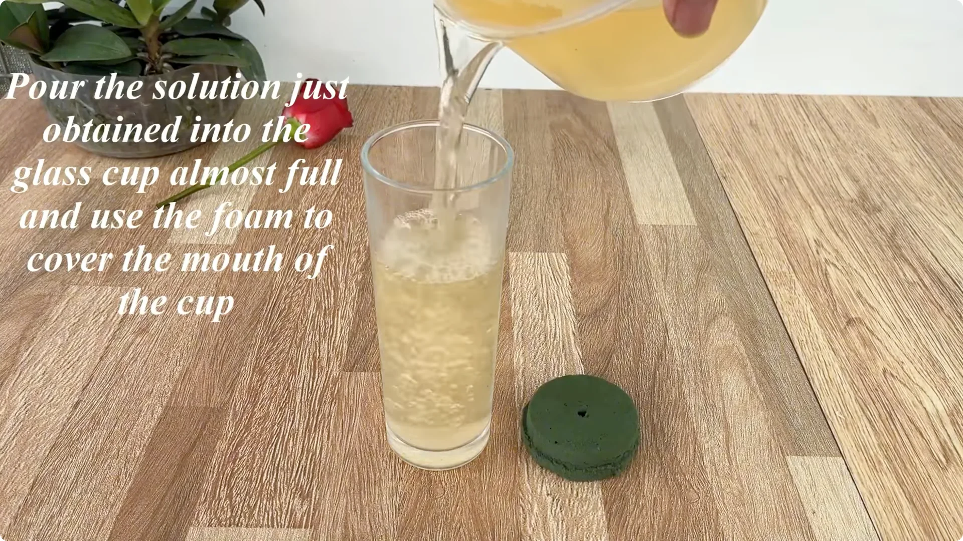 The Simple Spoonful Trick to Easily Propagate Roses screenshot 4