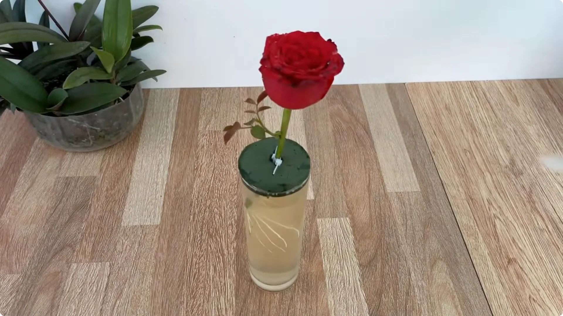 The Simple Spoonful Trick to Easily Propagate Roses screenshot 5