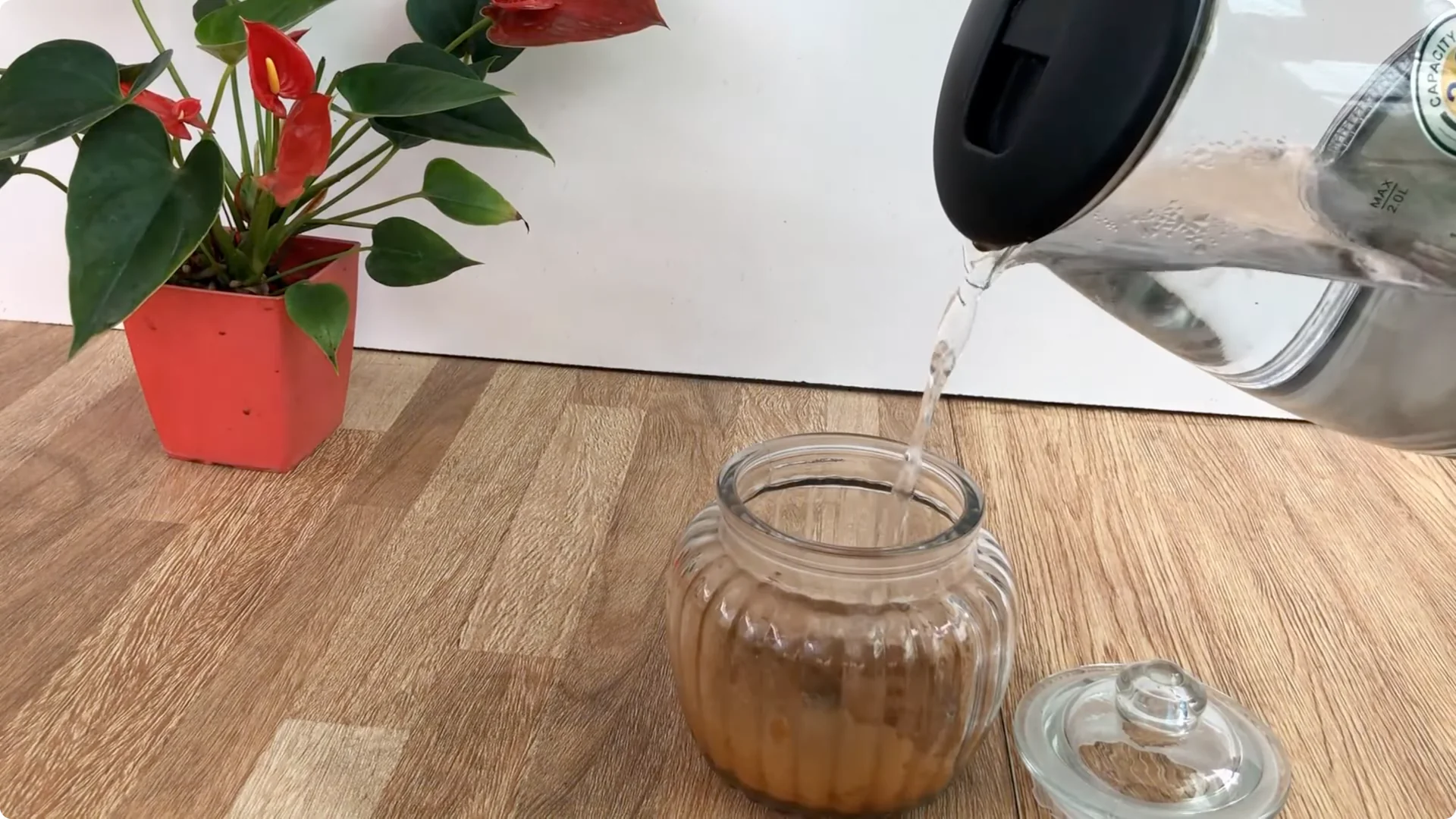 The Simple Trick to Successfully Propagate Any Rose screenshot 2