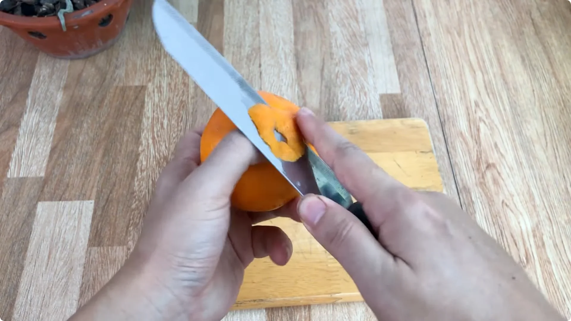The Simple Trick to Successfully Propagate Any Rose screenshot 9