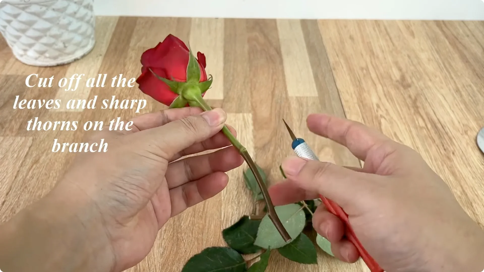 The Surprising Simple Method to Propagate Roses Easily screenshot 1