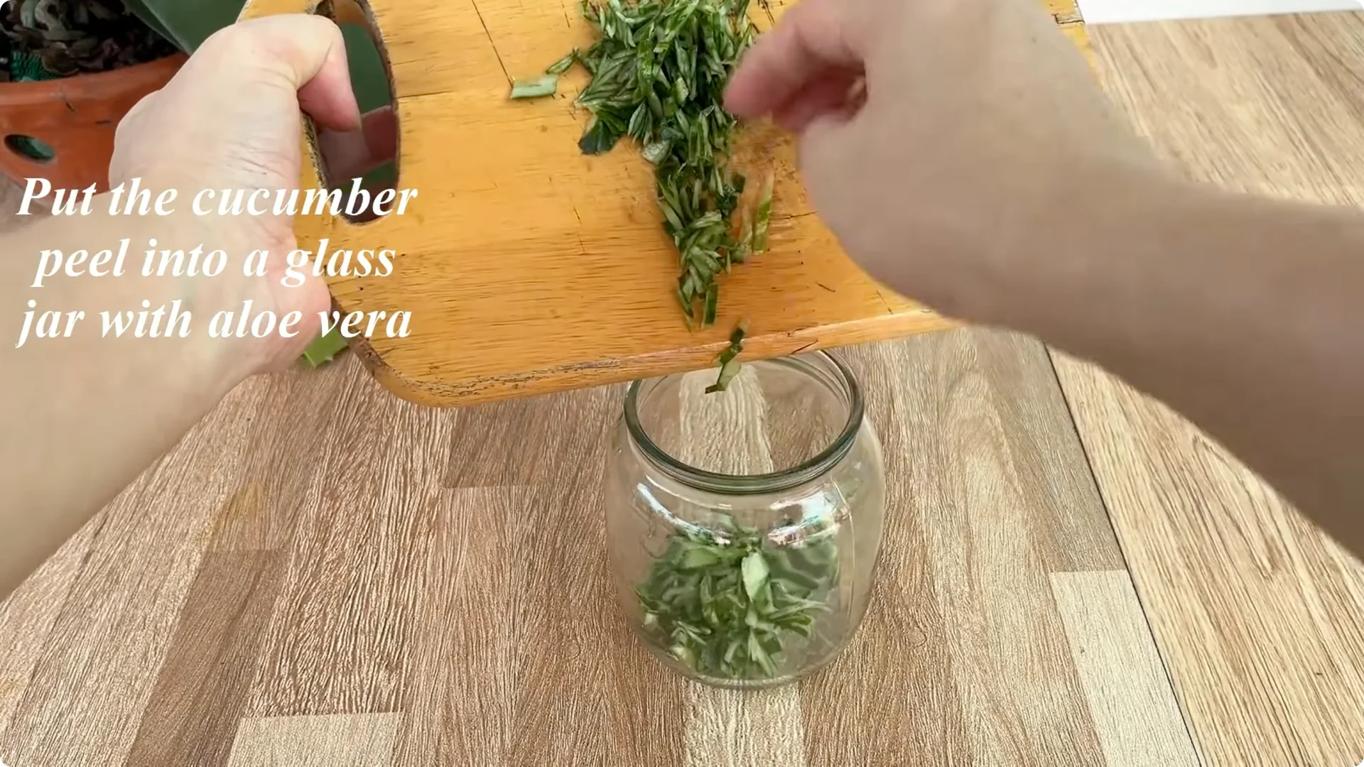 The Surprising Simple Method to Propagate Roses Easily screenshot 11