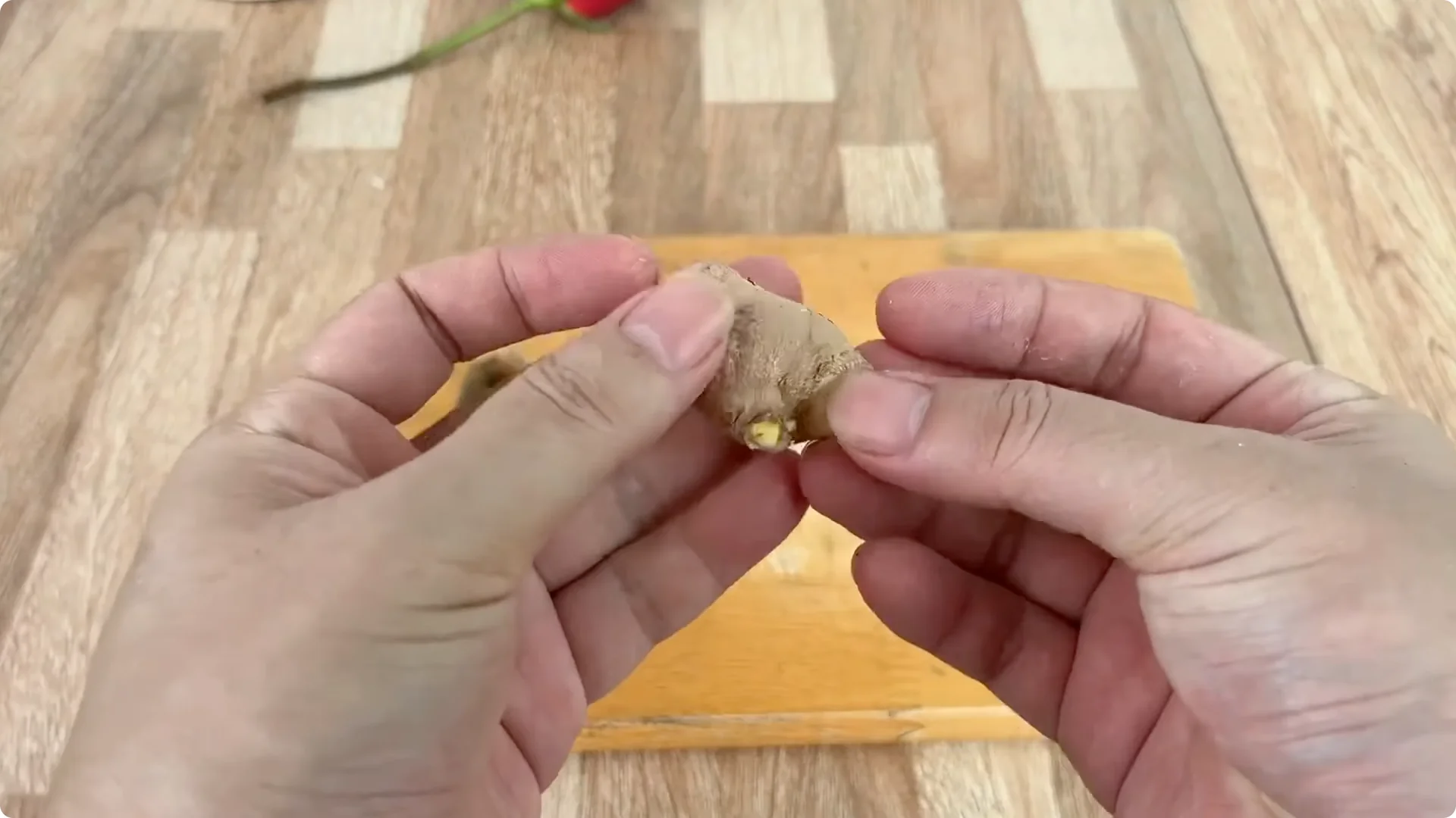 The Surprising Simple Method to Propagate Roses Easily screenshot 2