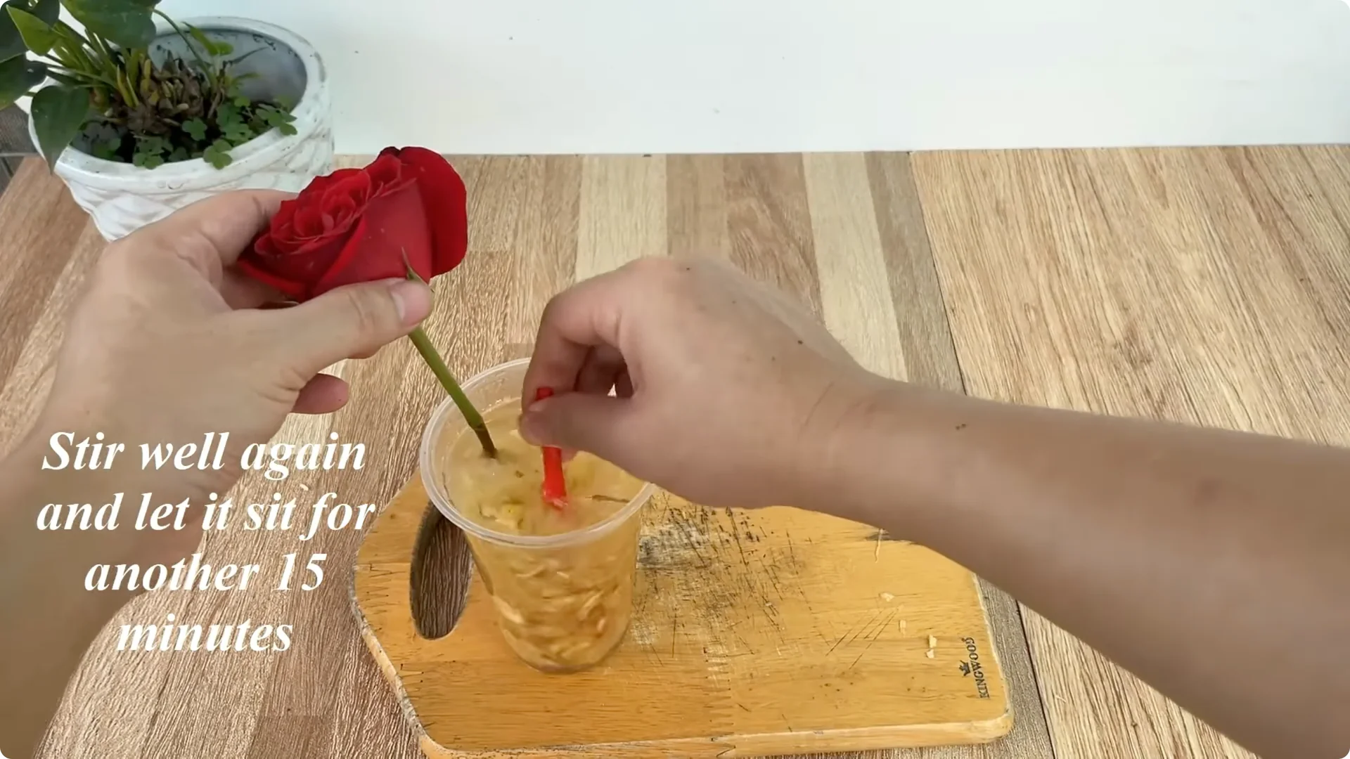 The Surprising Simple Method to Propagate Roses Easily screenshot 4