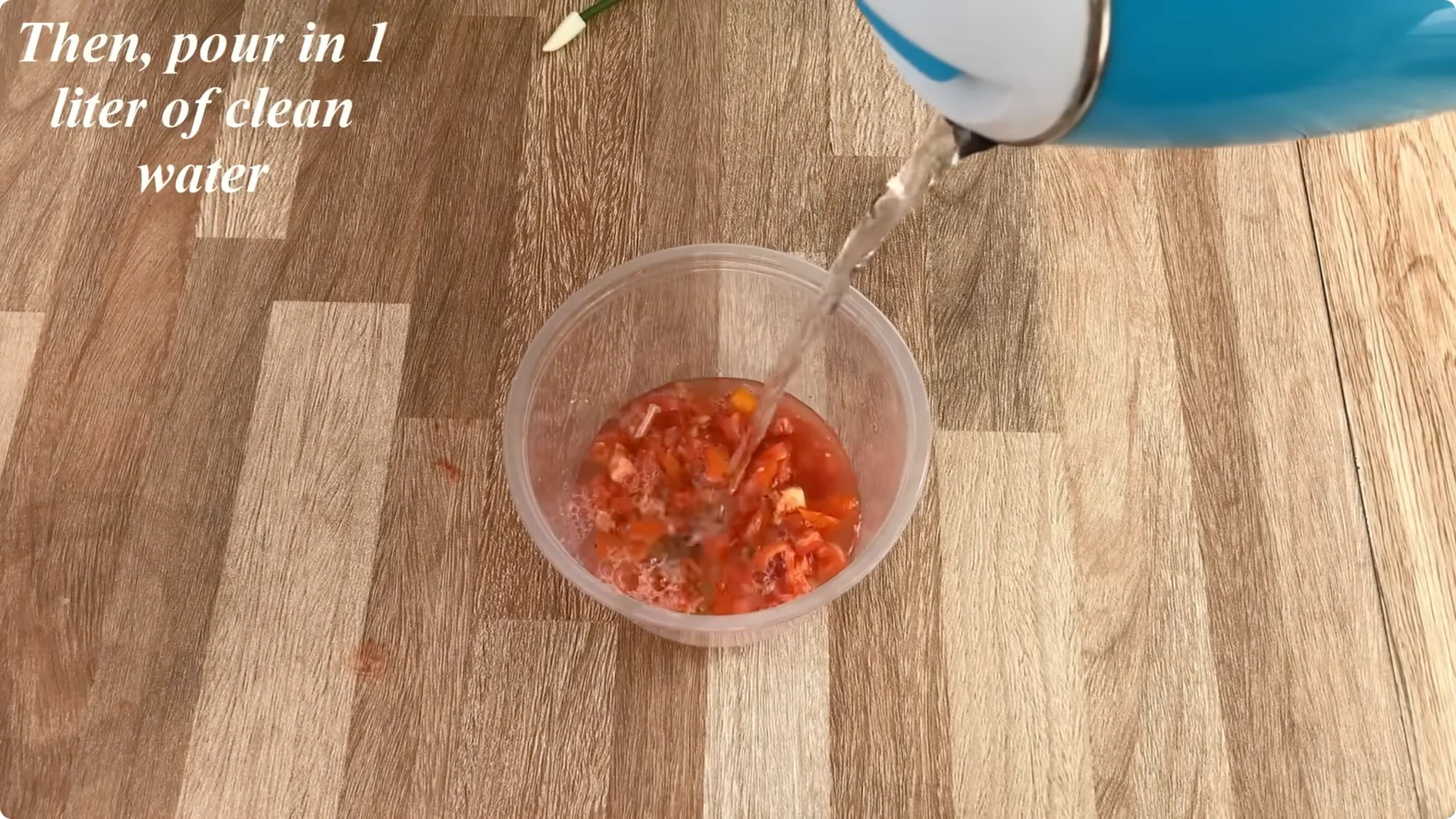 The Surprising Simple Method to Propagate Roses Easily screenshot 4