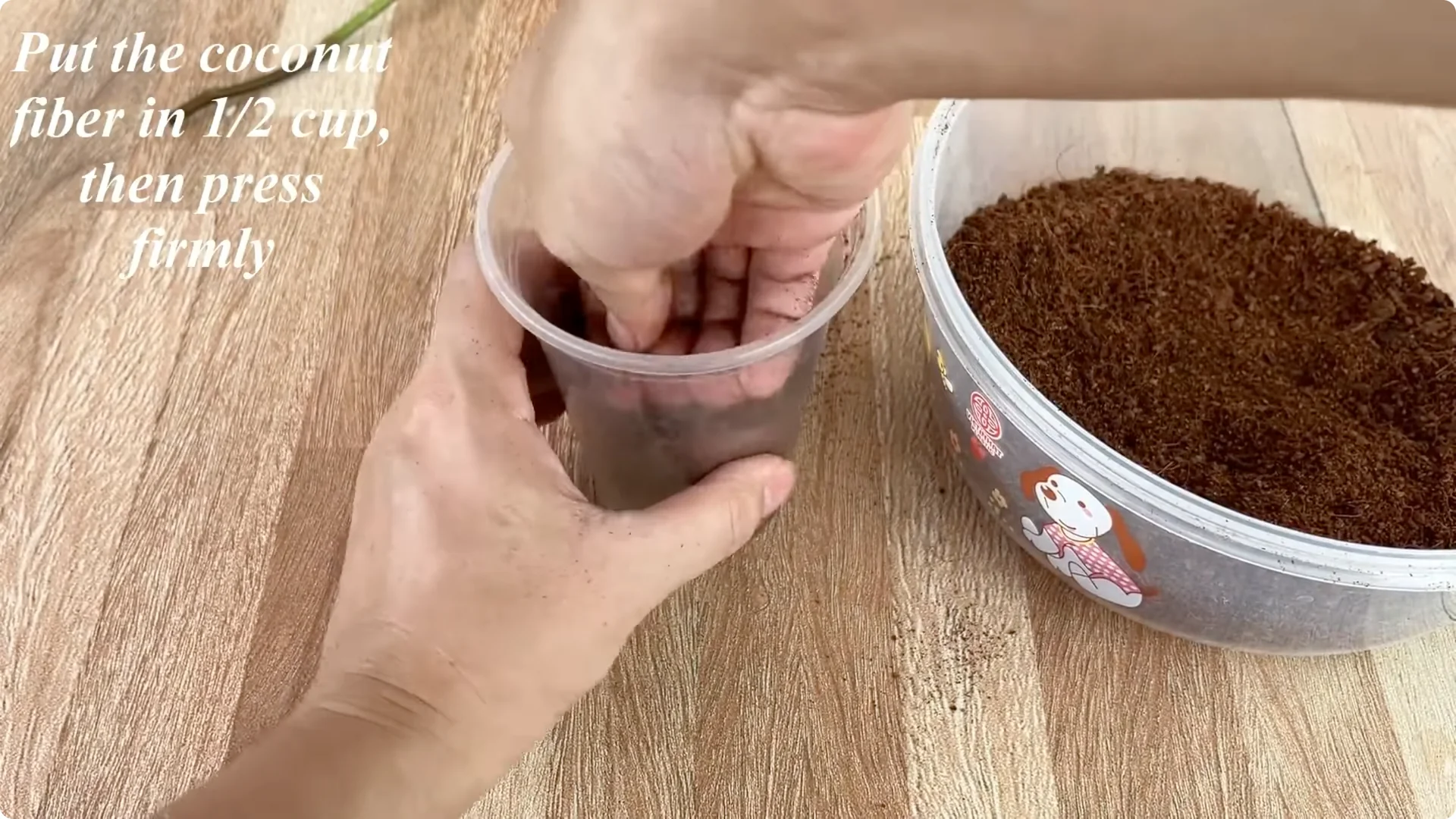 The Surprising Simple Method to Propagate Roses Easily screenshot 5