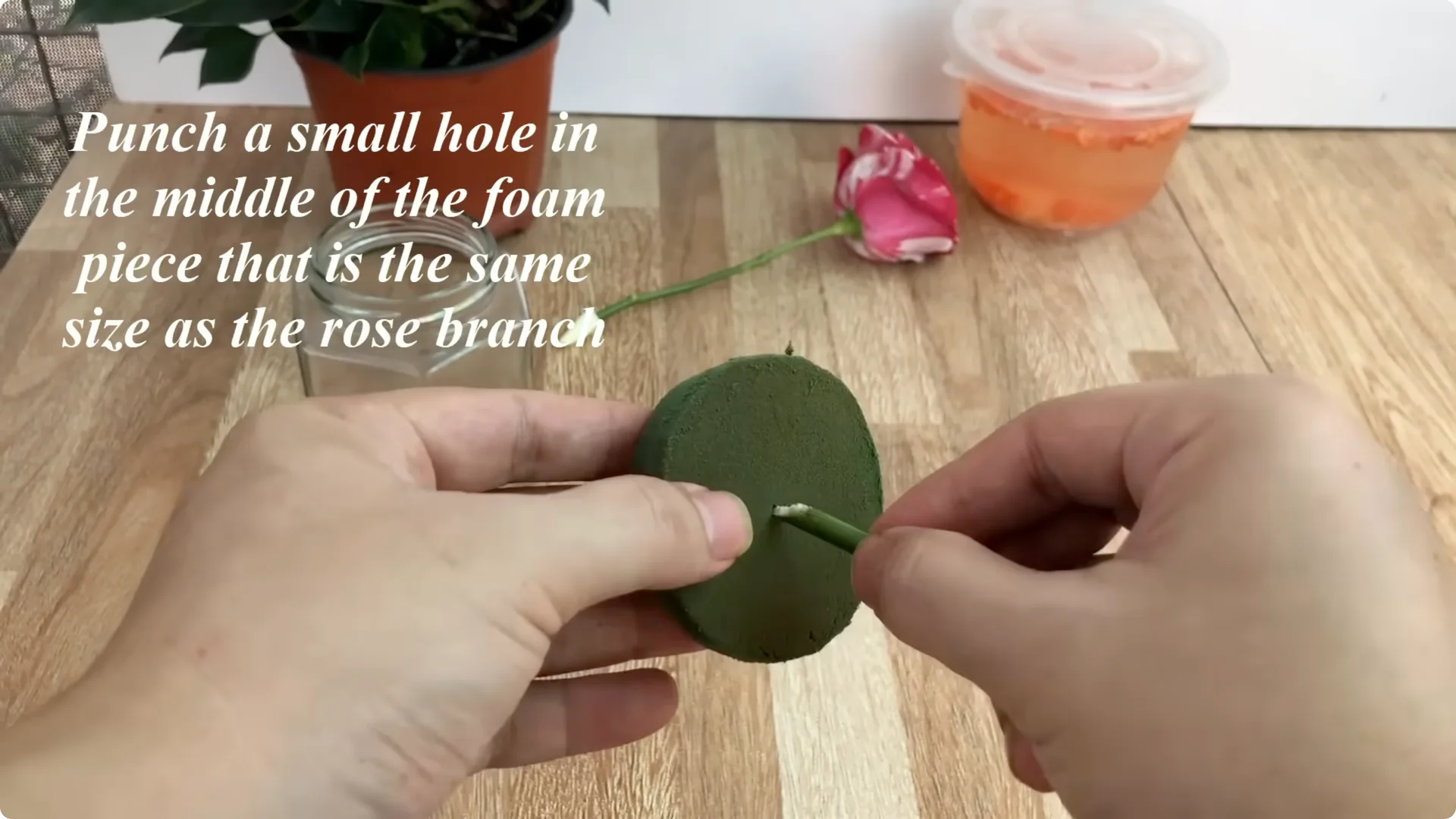 The Surprising Simple Method to Propagate Roses Easily screenshot 5