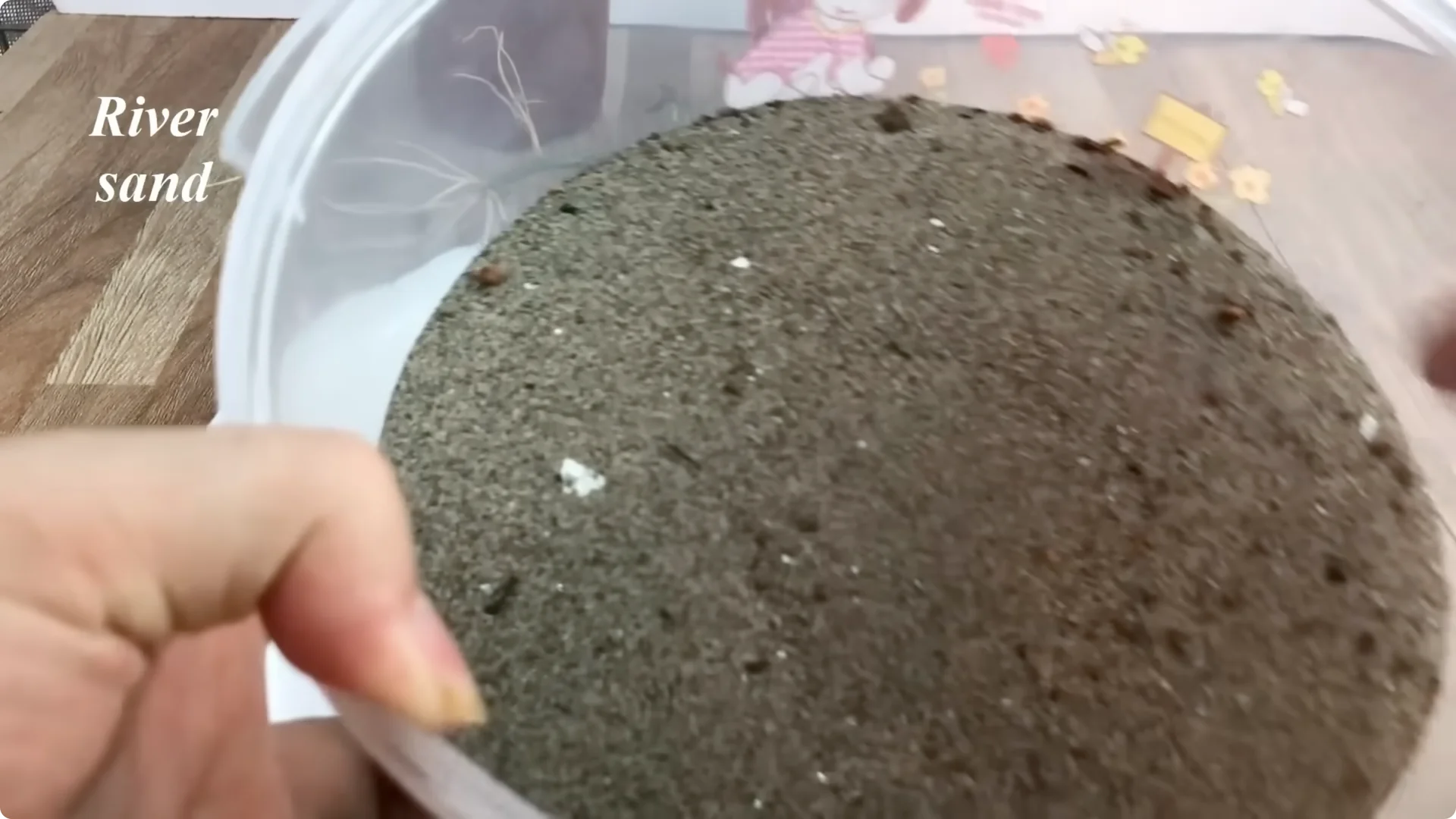 The Surprising Simple Method to Propagate Roses Easily screenshot 8