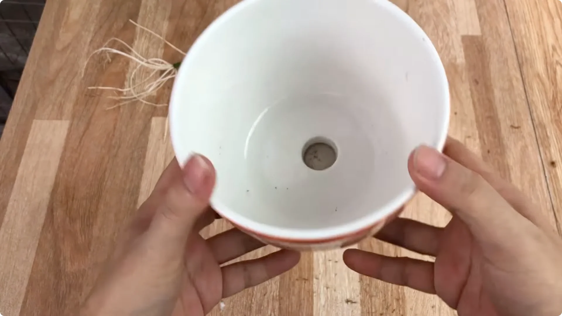 The Unexpected Easy Method to Propagate Roses Successfully screenshot 11