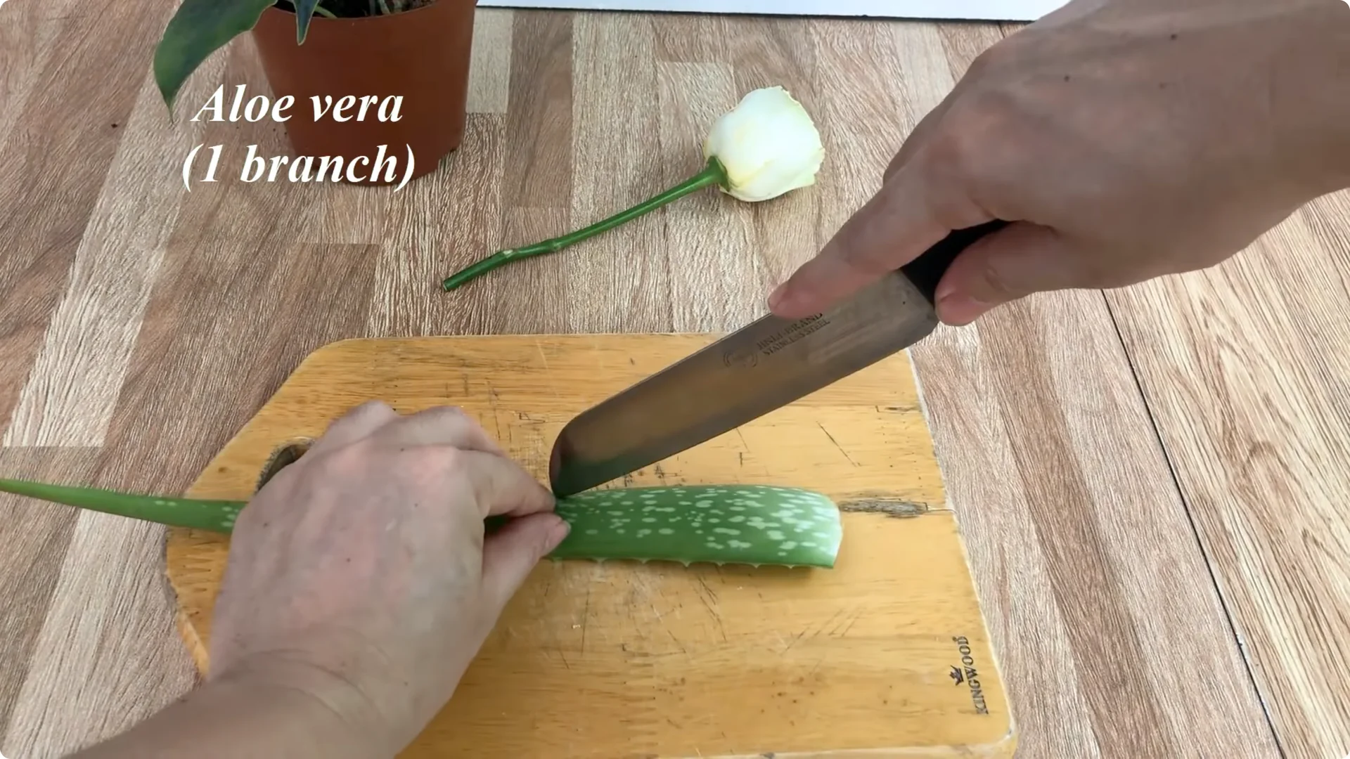 The Unexpected Easy Method to Propagate Roses Successfully screenshot 2