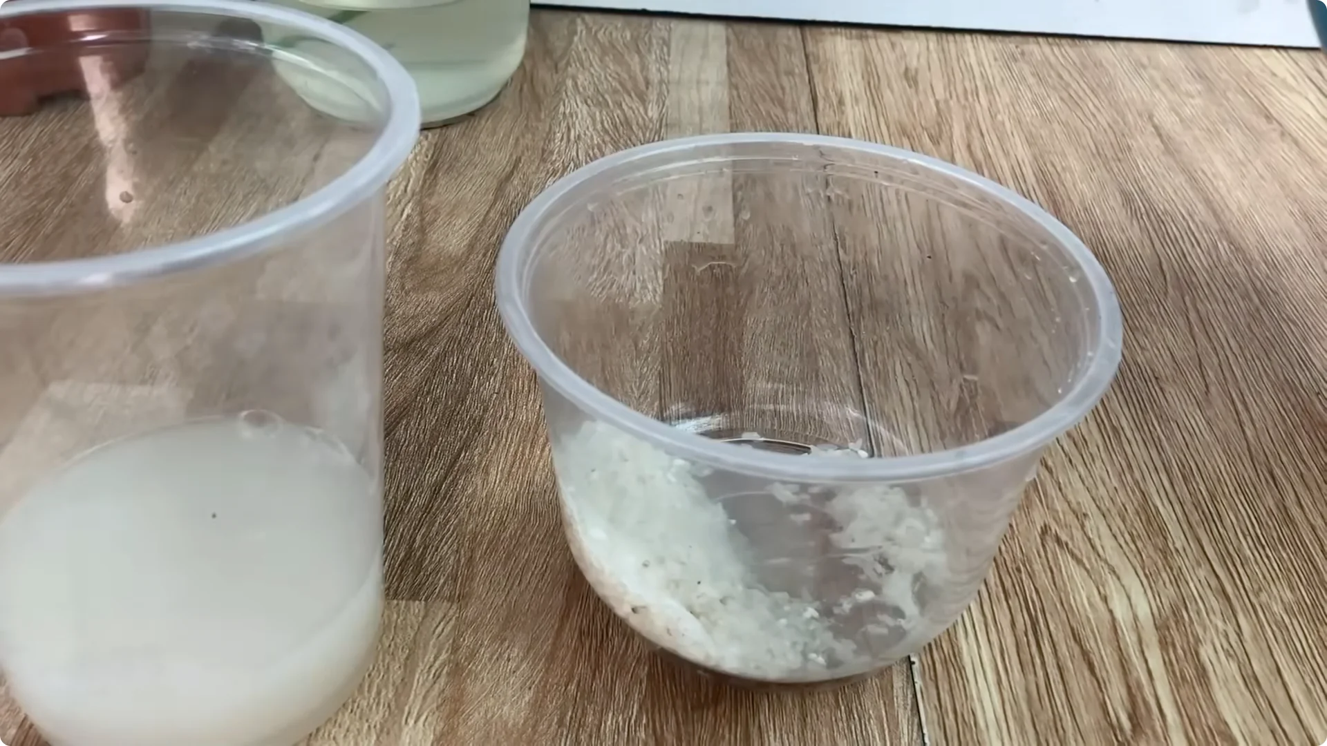 The Unexpected Method That Transformed My Rose Propagation screenshot 8