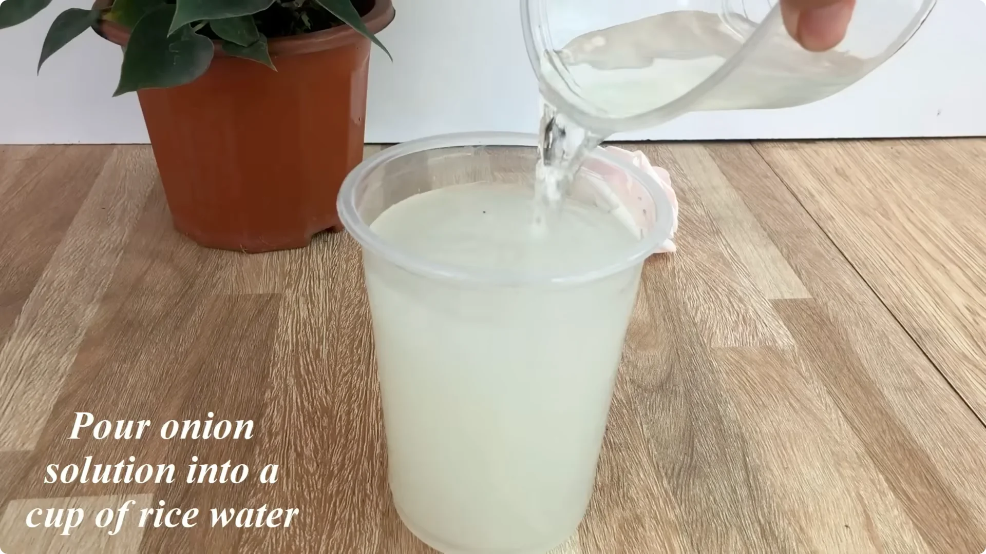 The Unexpected Method That Transformed My Rose Propagation screenshot 9