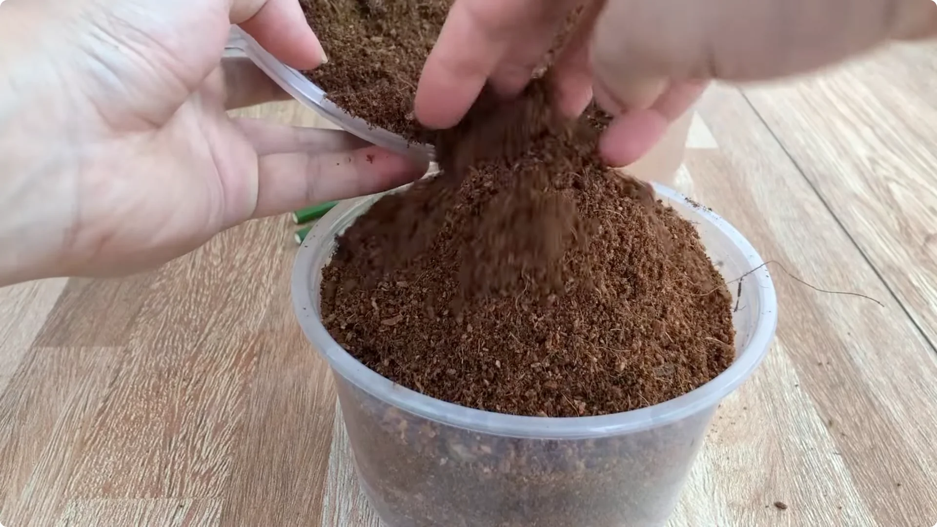 Unexpected Results: Propagating Roses Differently Explained screenshot 5